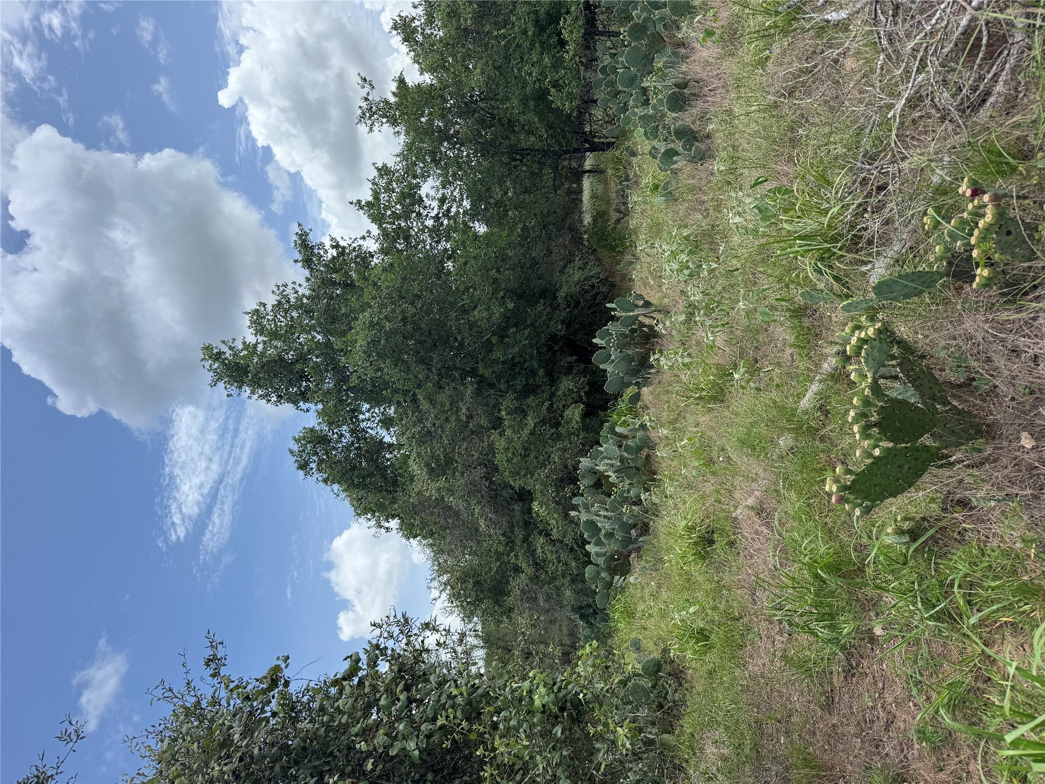 Lot 687 Kawainui LN — photo 5