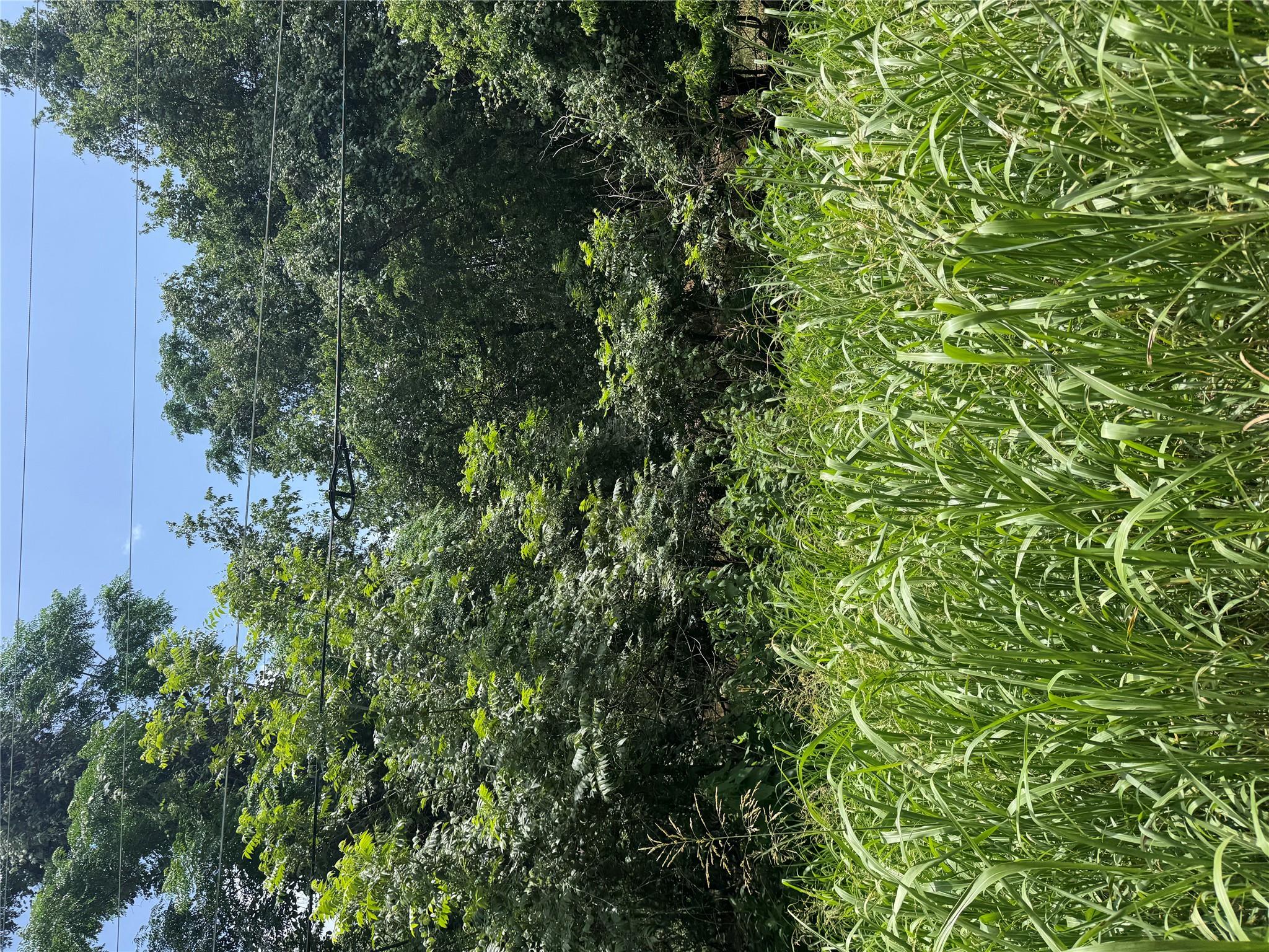 Lot 908 Kahana LN — photo 3