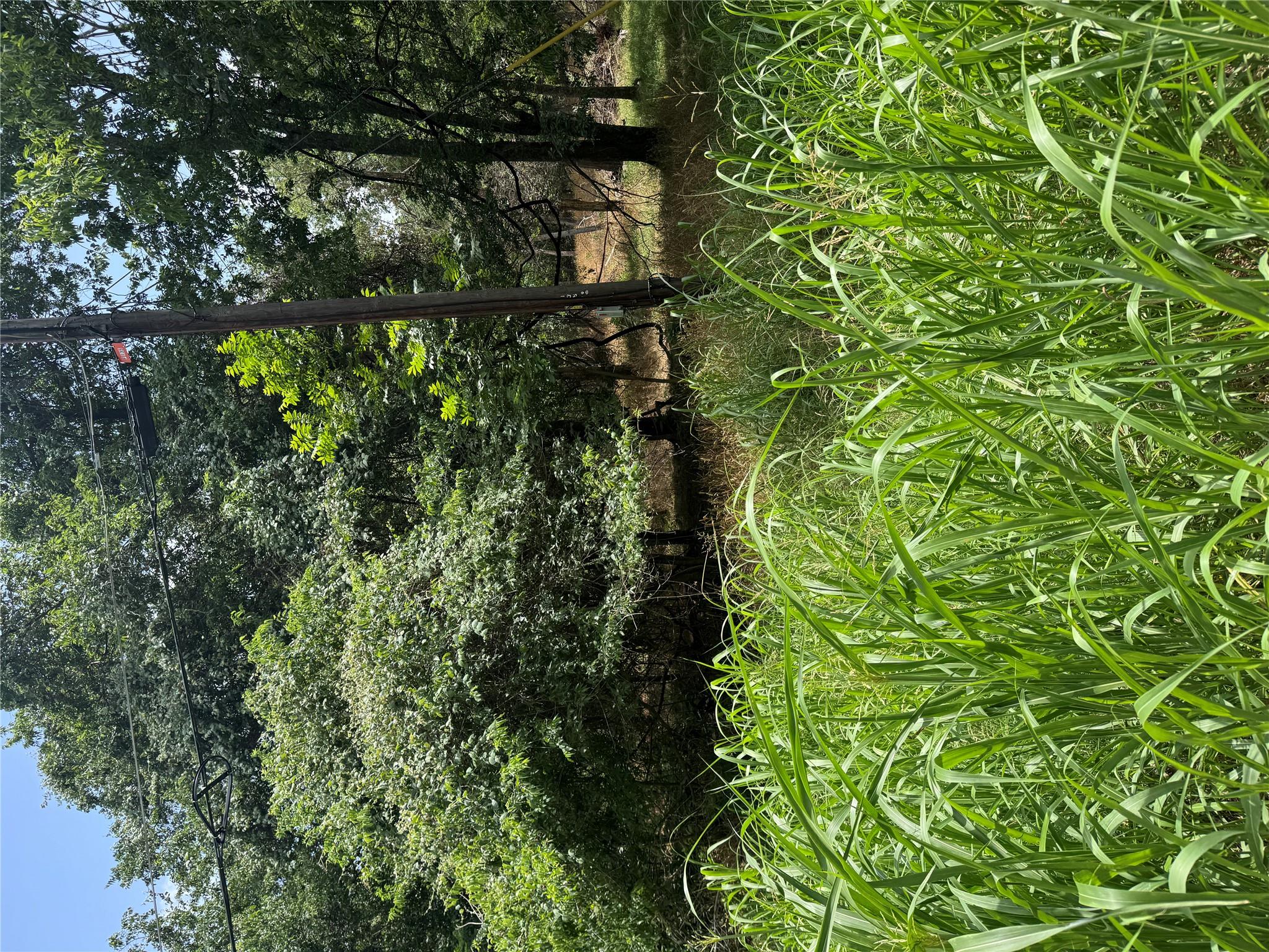 Lot 908 Kahana LN — photo 4