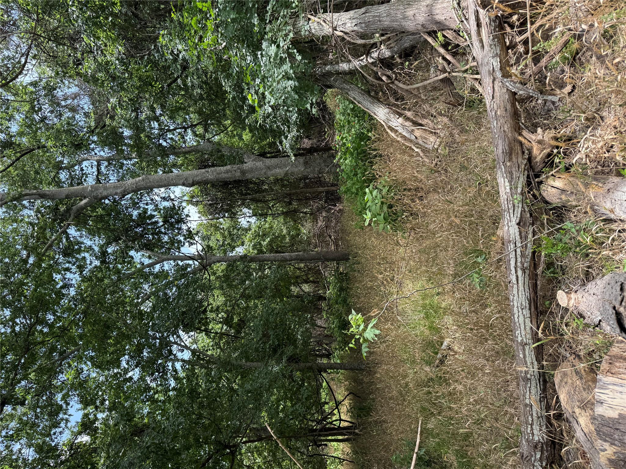 Lot 904 Kahana LN — photo 3