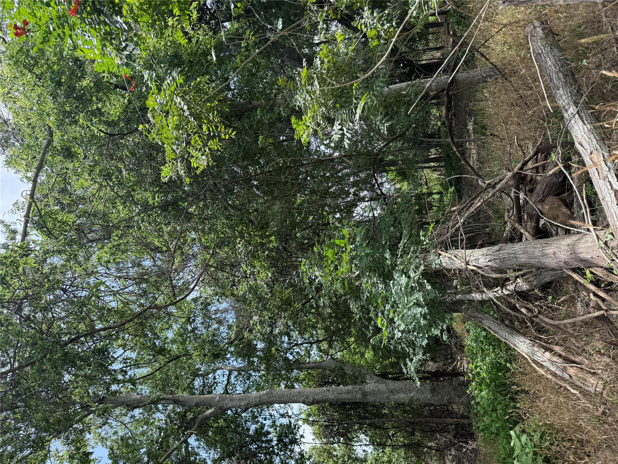 Lot 904 Kahana LN — photo 4