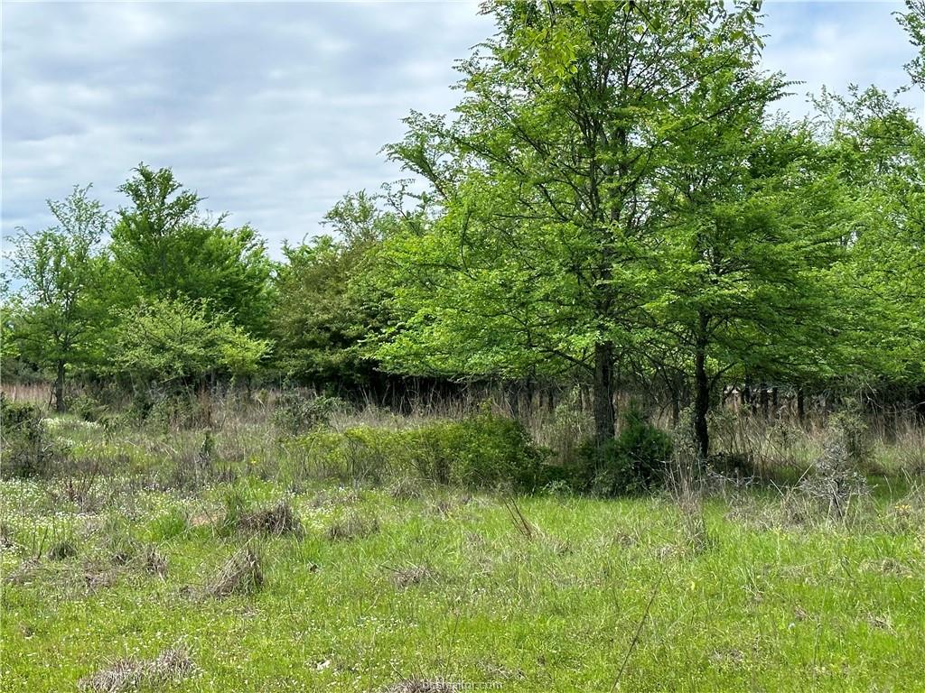 00 Hickory Loop RD — photo 3