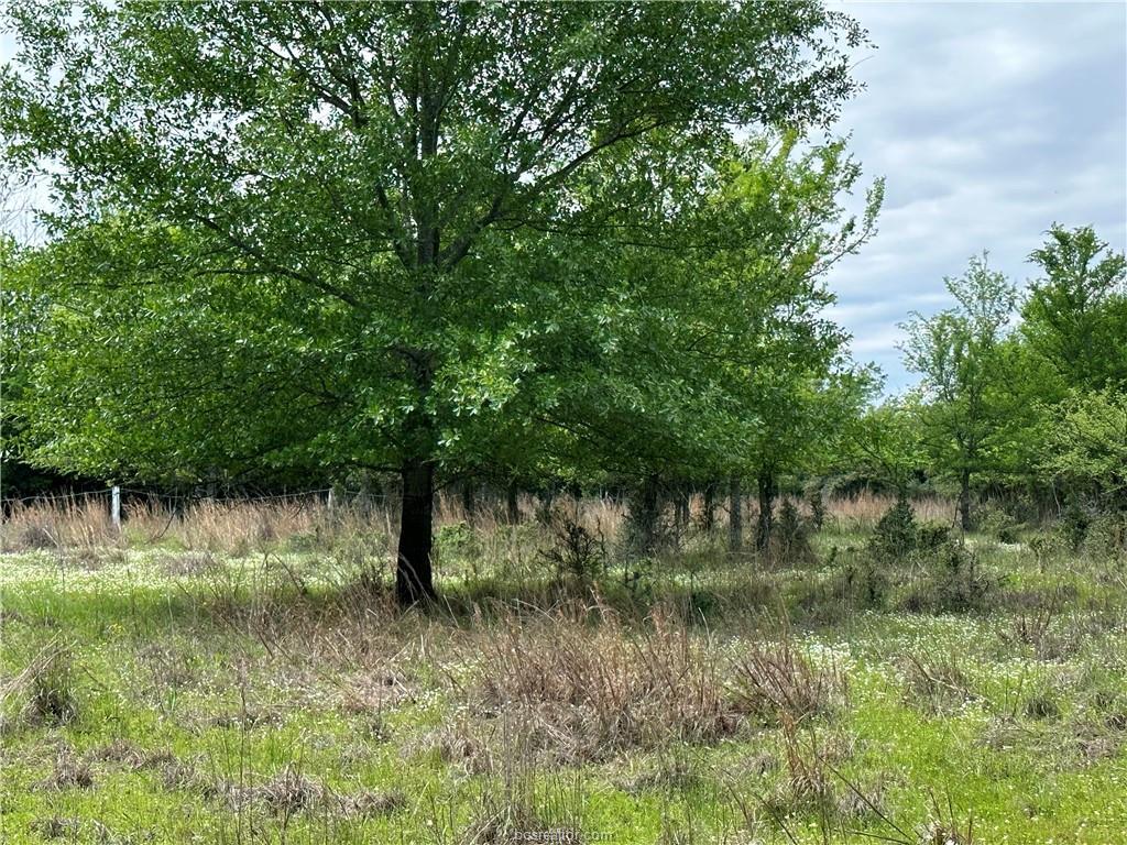 00 Hickory Loop RD — photo 4