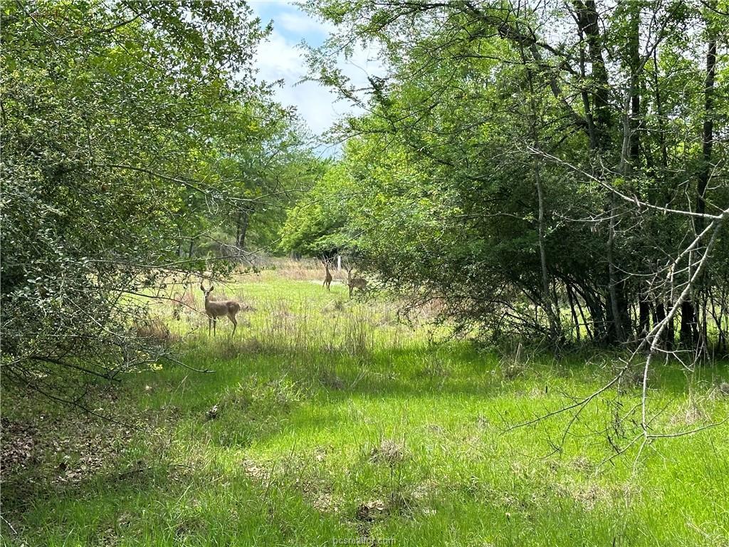 00 Hickory Loop RD — photo 5