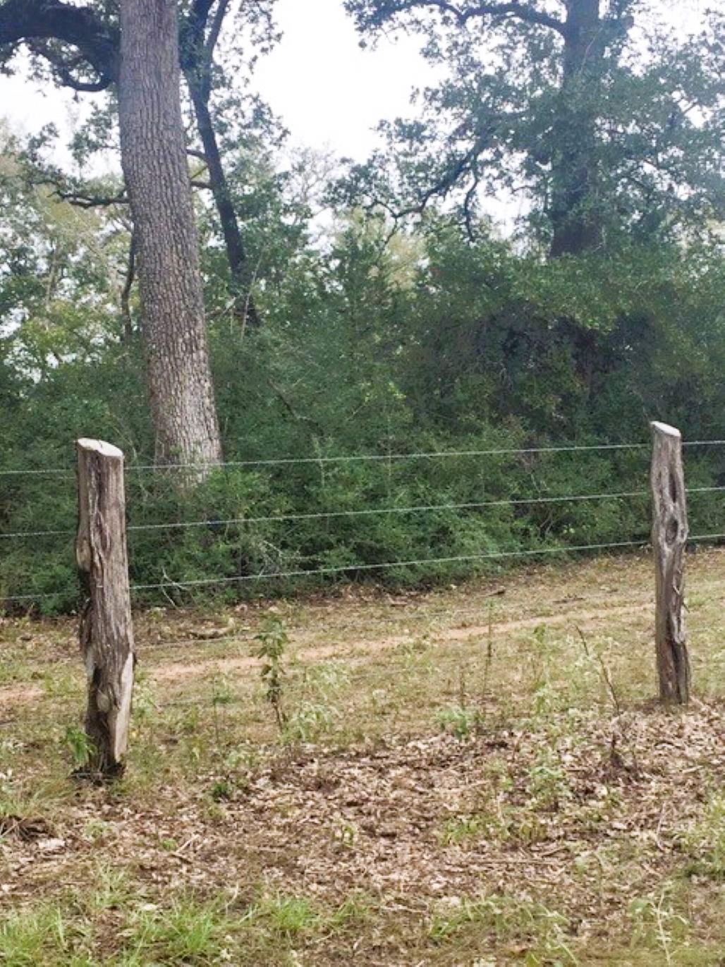 TBD Jack Rabbit LN — photo 4