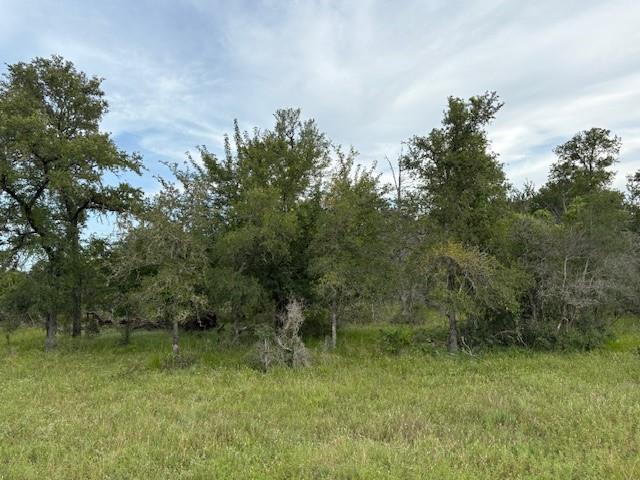 Lot #2 Willis LN — photo 5