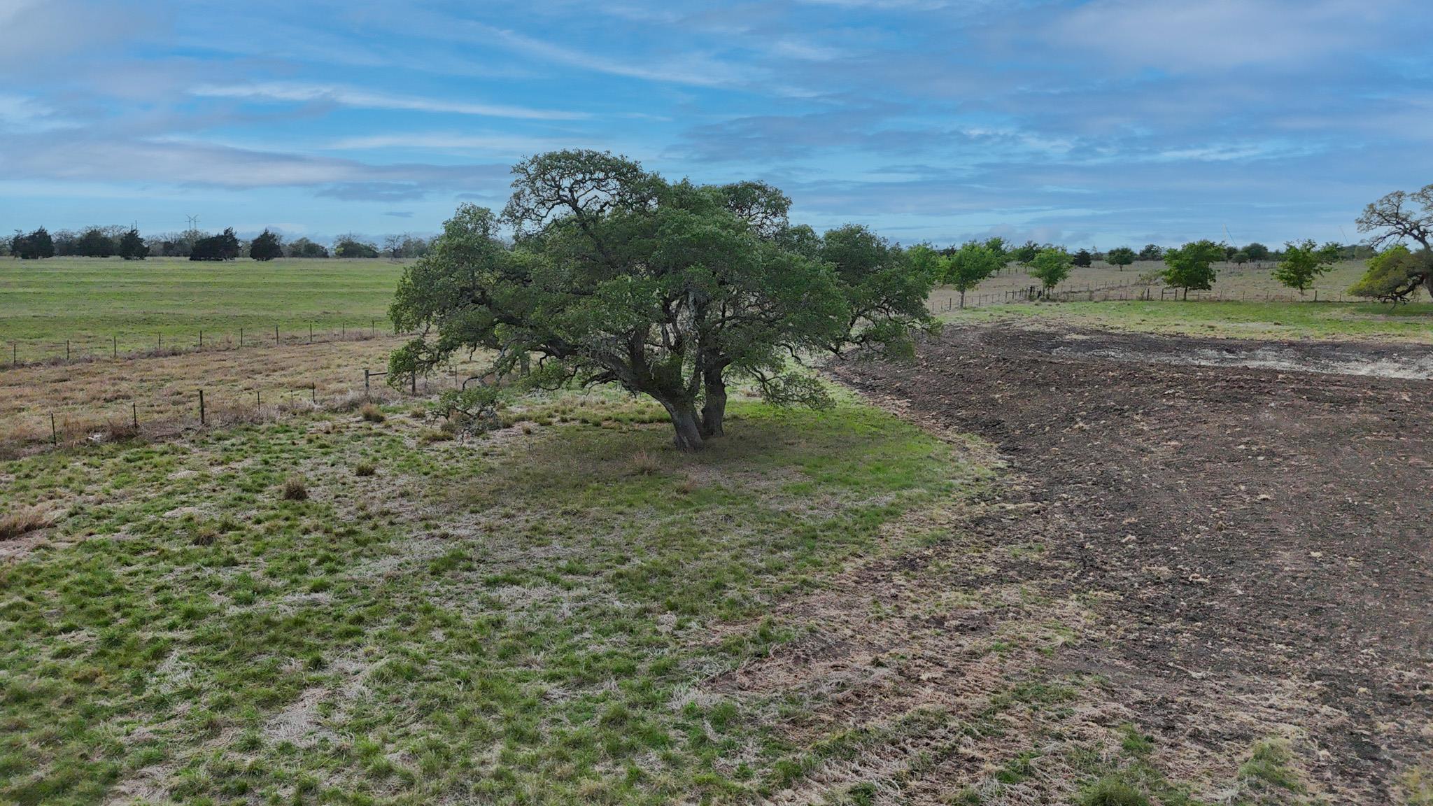 2077 East State Hwy 237 — photo 3