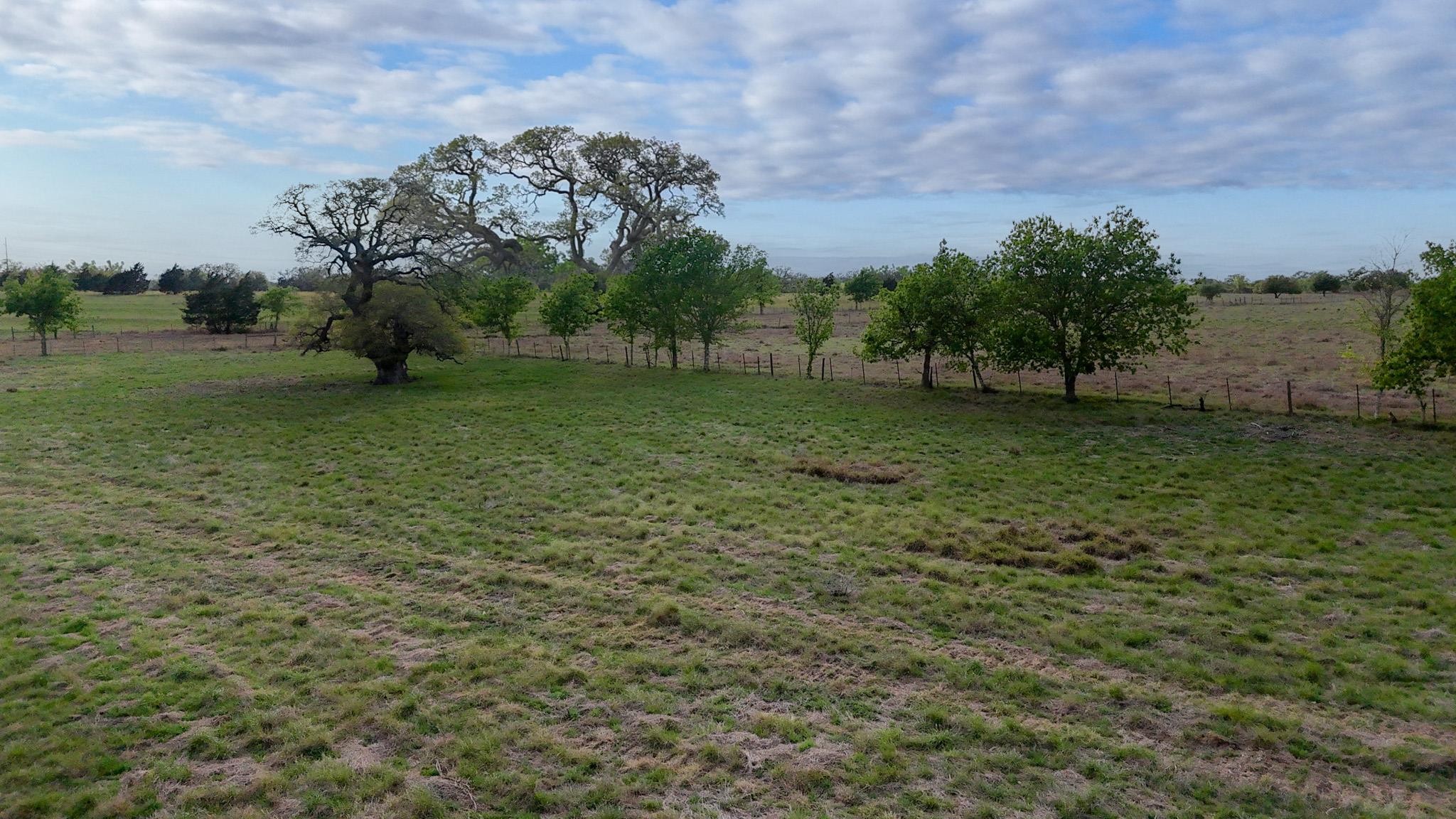 2077 East State Hwy 237 — photo 5