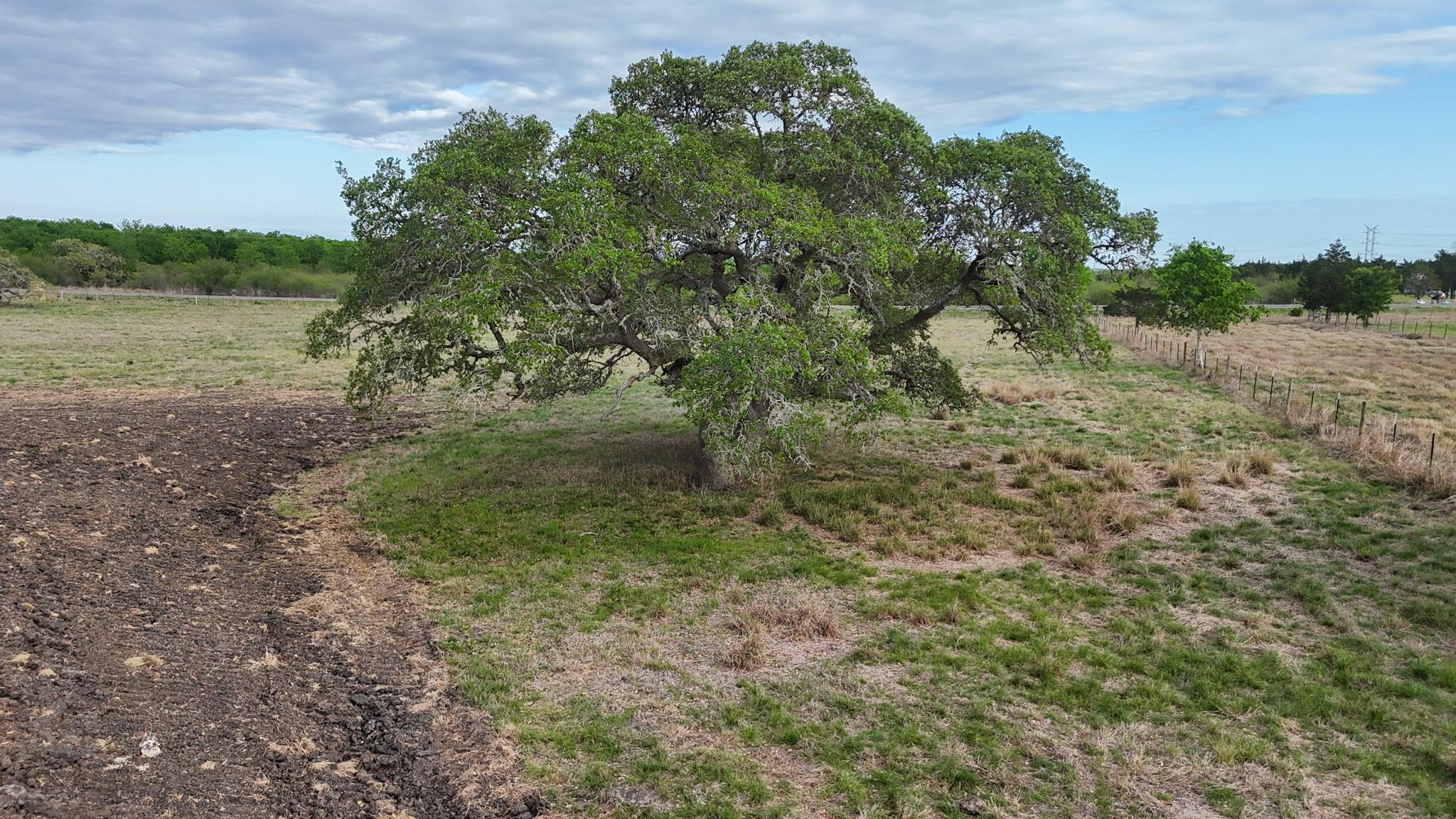 2077 East State Hwy 237 — photo 4