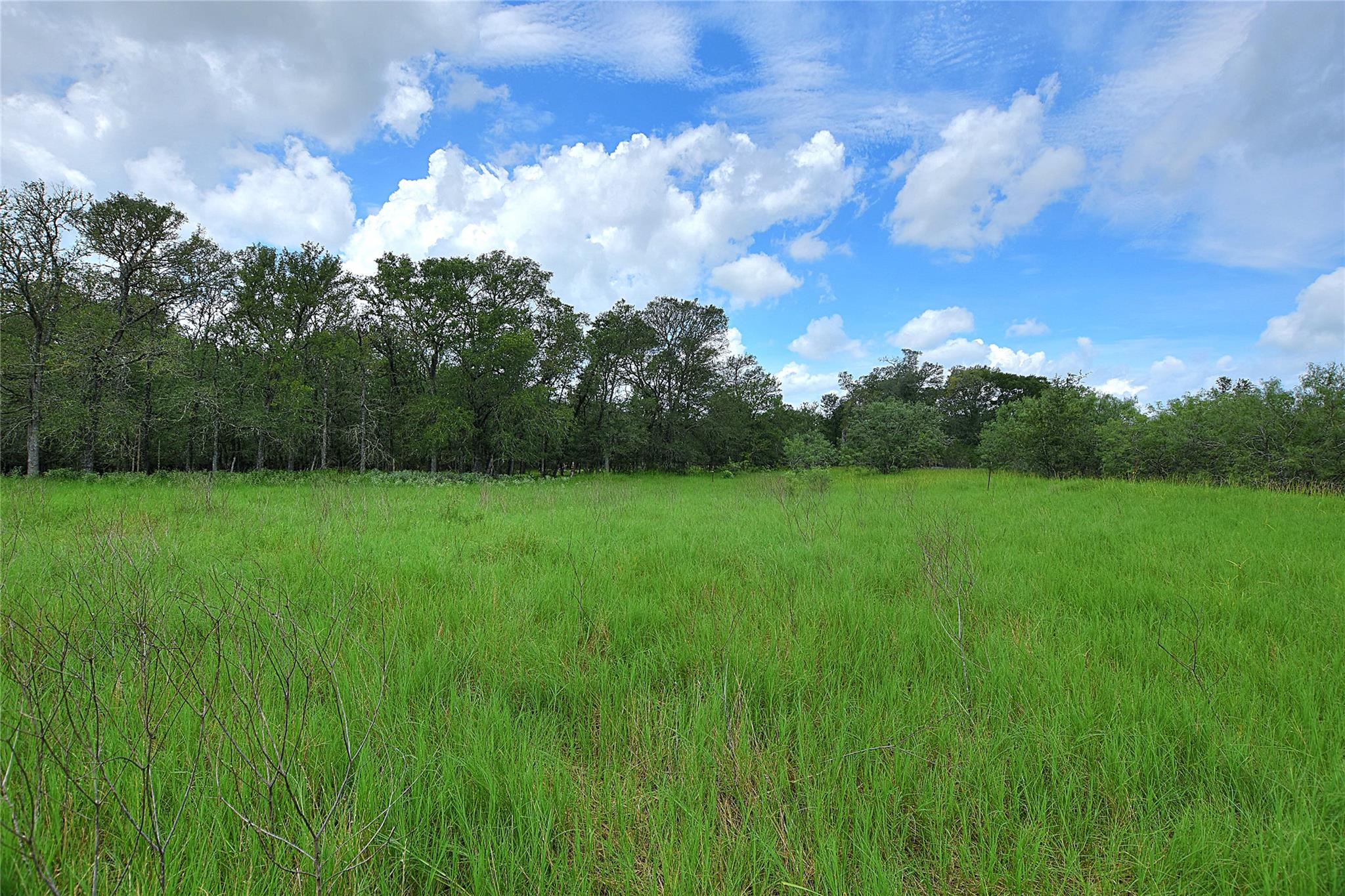 TBD Whitworth LN — photo 3