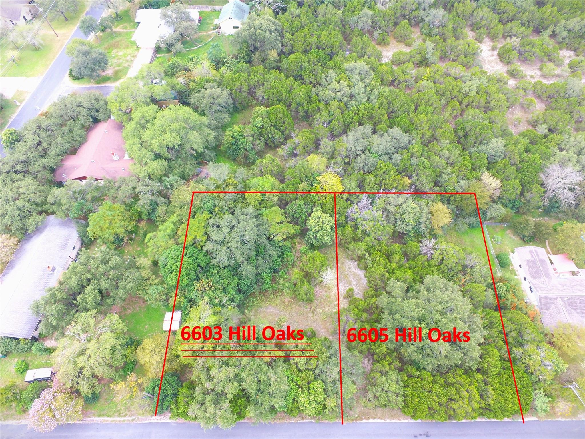 6603 Hill Oaks DR — photo 3
