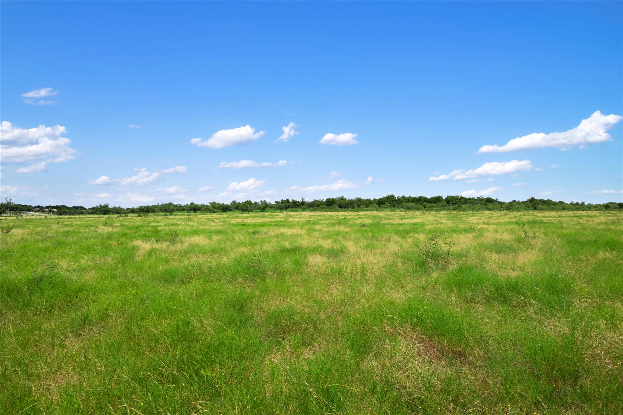 1775 County Road 305 RD — photo 4