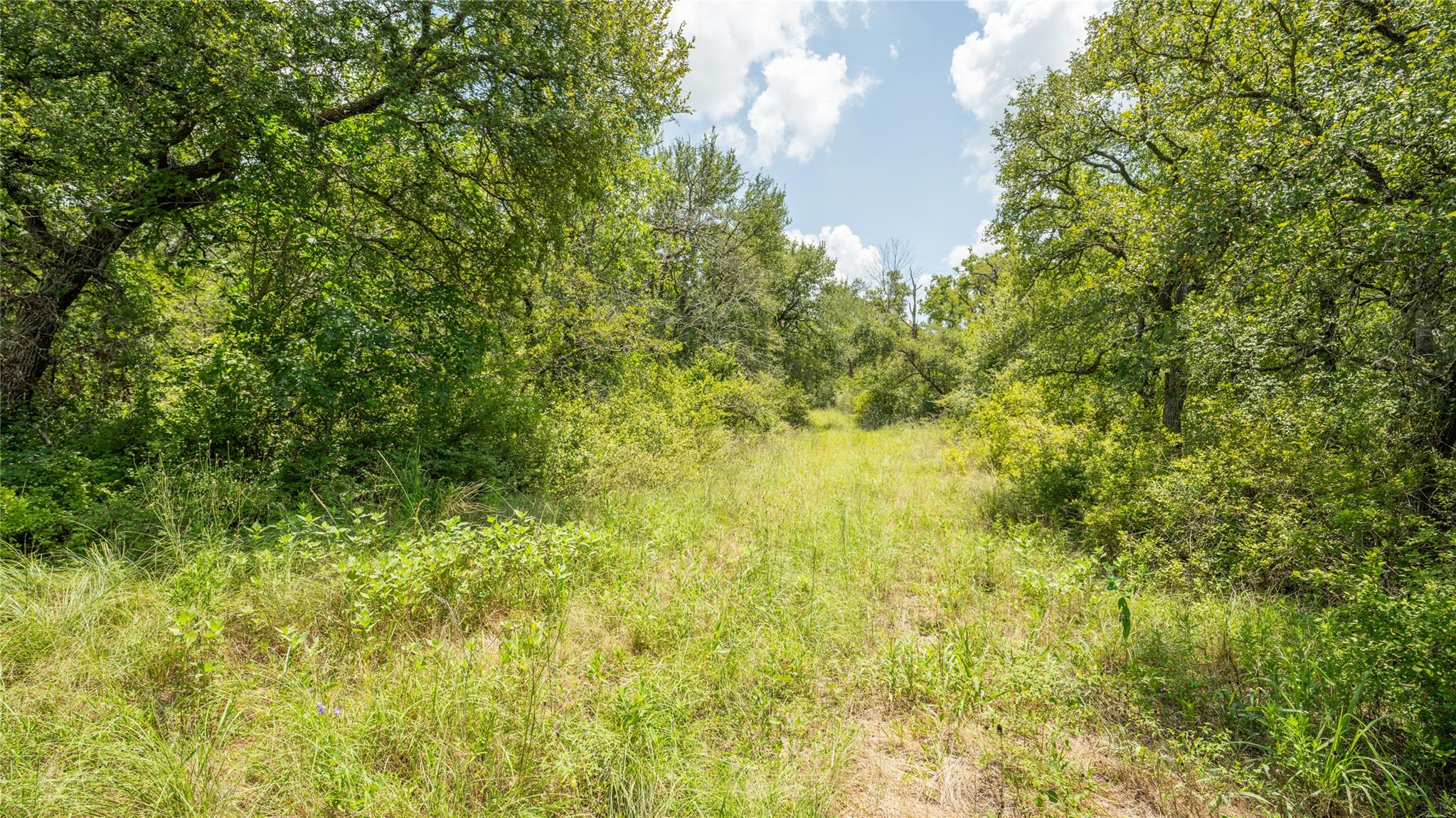 418-G County Road 405 — photo 3
