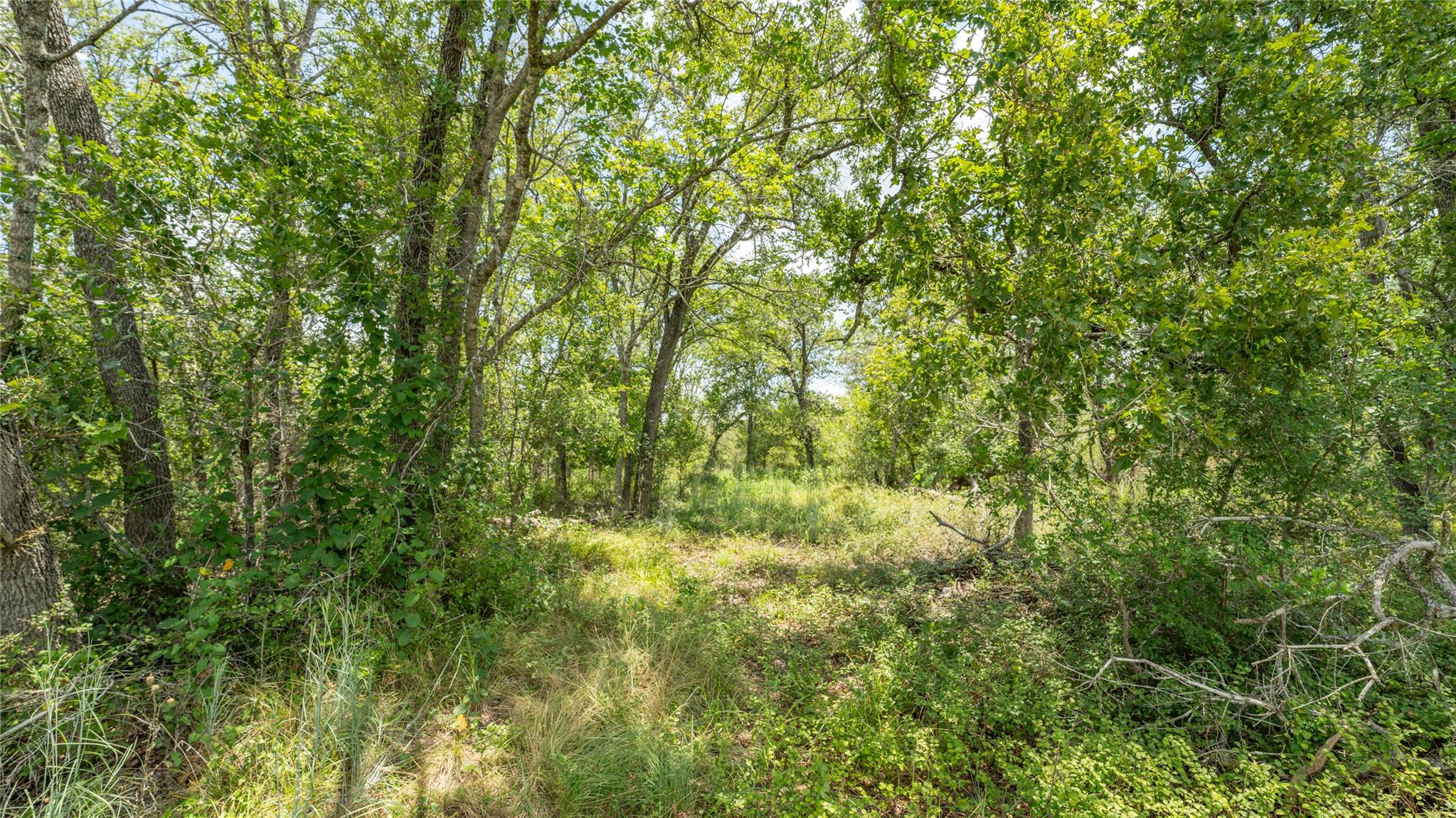 418-G County Road 405 — photo 4