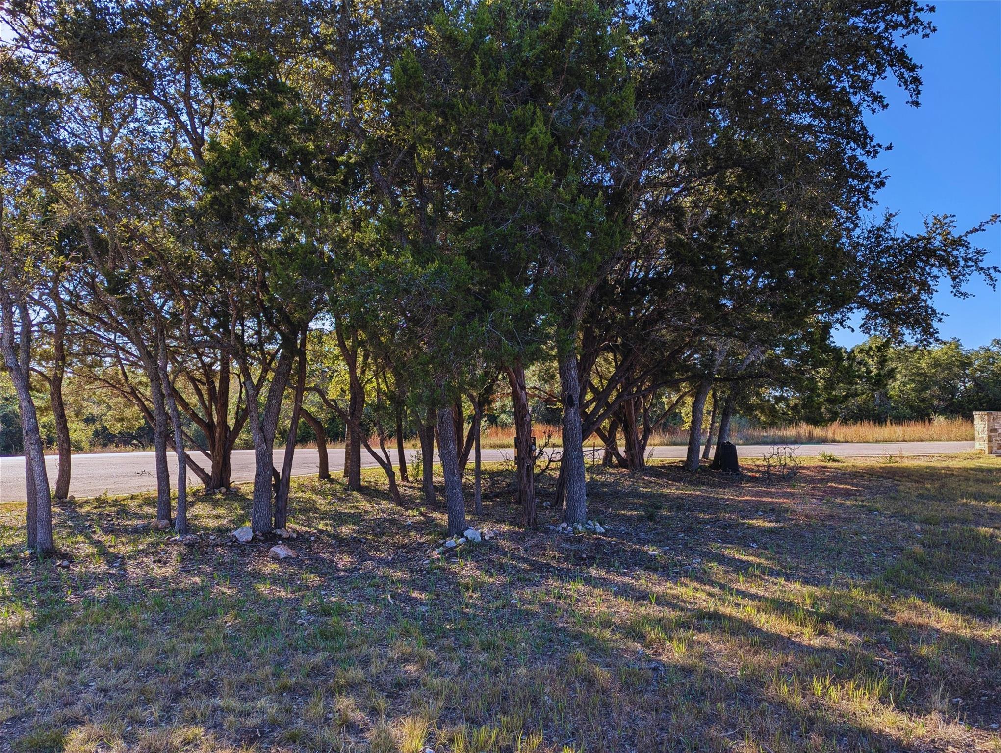 541 Onion Creek LN — photo 3