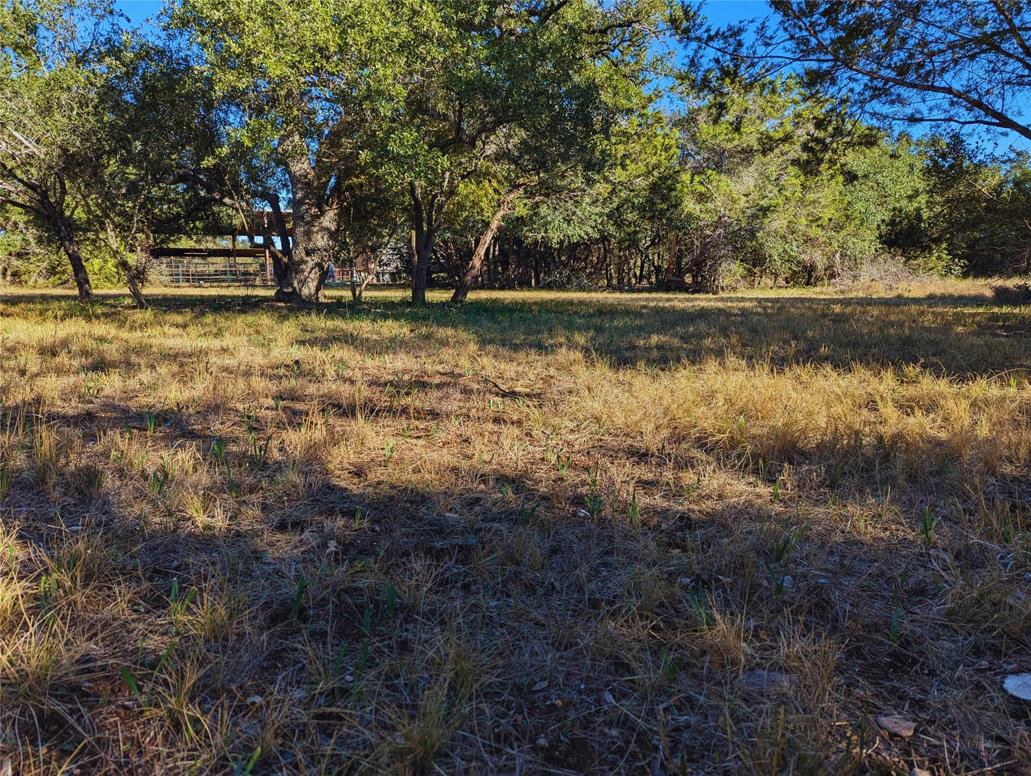 541 Onion Creek LN — photo 4