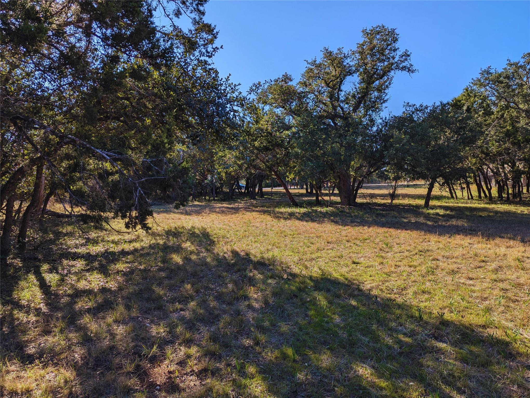 541 Onion Creek LN — photo 5
