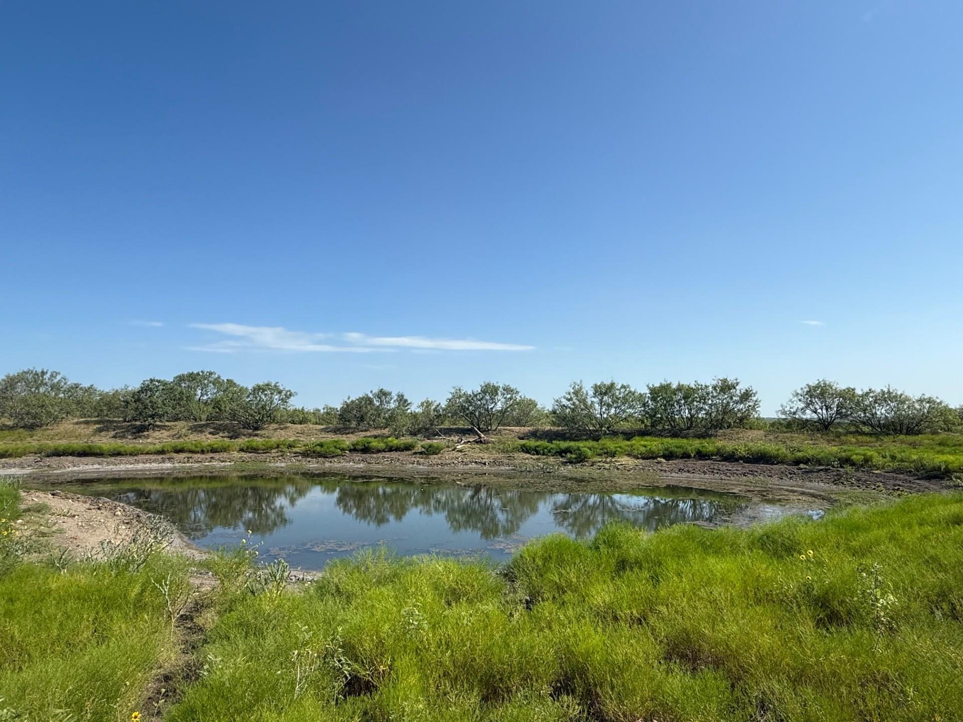 120 Camino Real Highway — photo 4