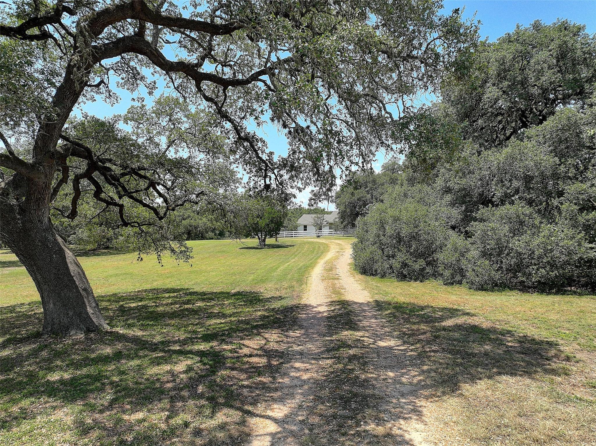 5715 Texas 159 Highway — photo 3