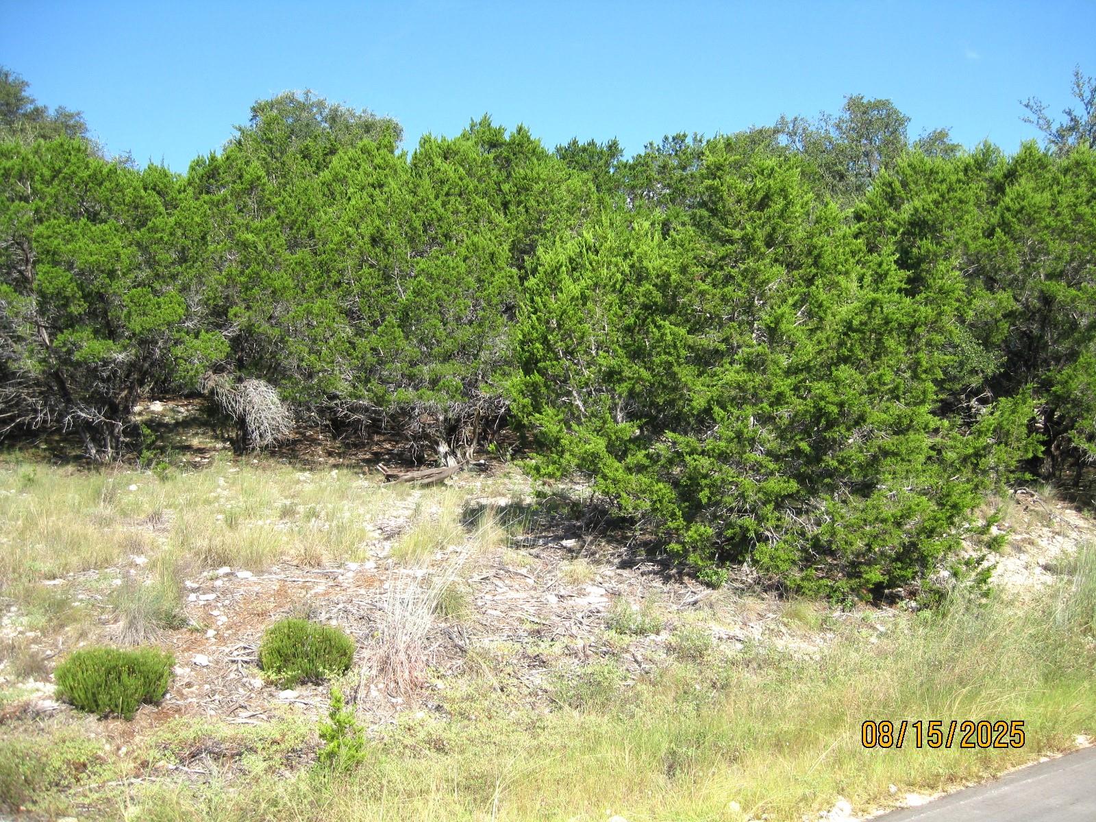 2604 Nevada CV — photo 3