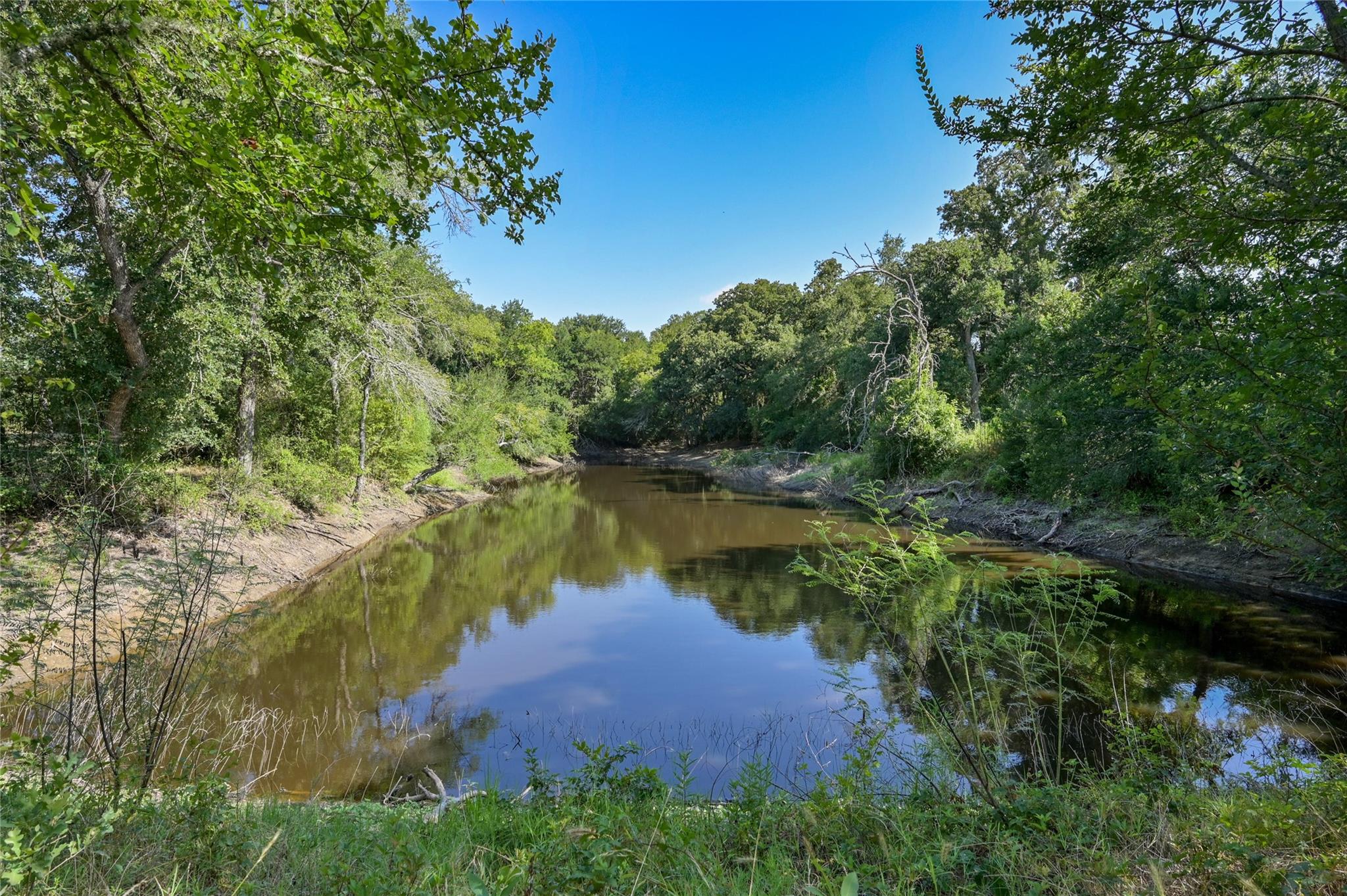 681 County Road 474 — photo 5