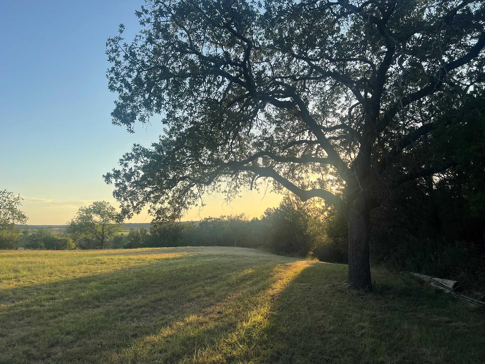 TBD E Fm 1431 — photo 4