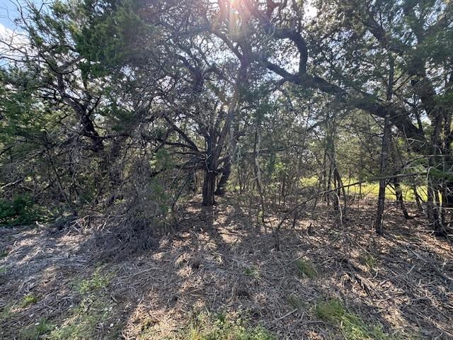 Lot 23 Rifle Ridge — photo 5