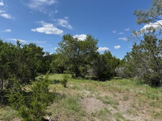 Lot 22 Rifle Ridge — photo 5