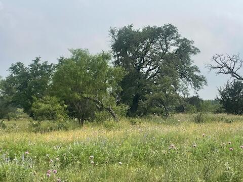 Lot 175 Heartleaf Drive — photo 4