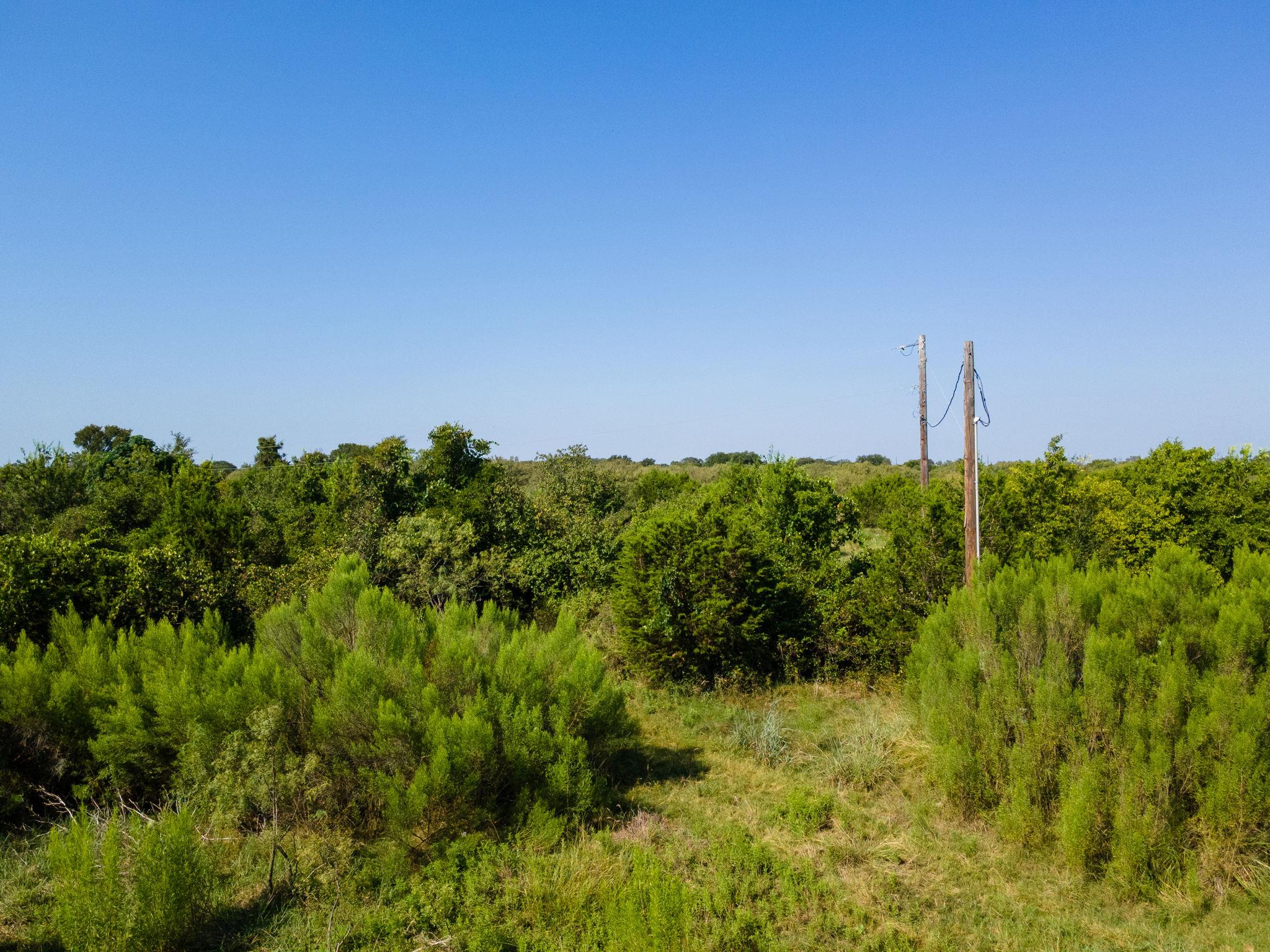 0 1276 PR — photo 4