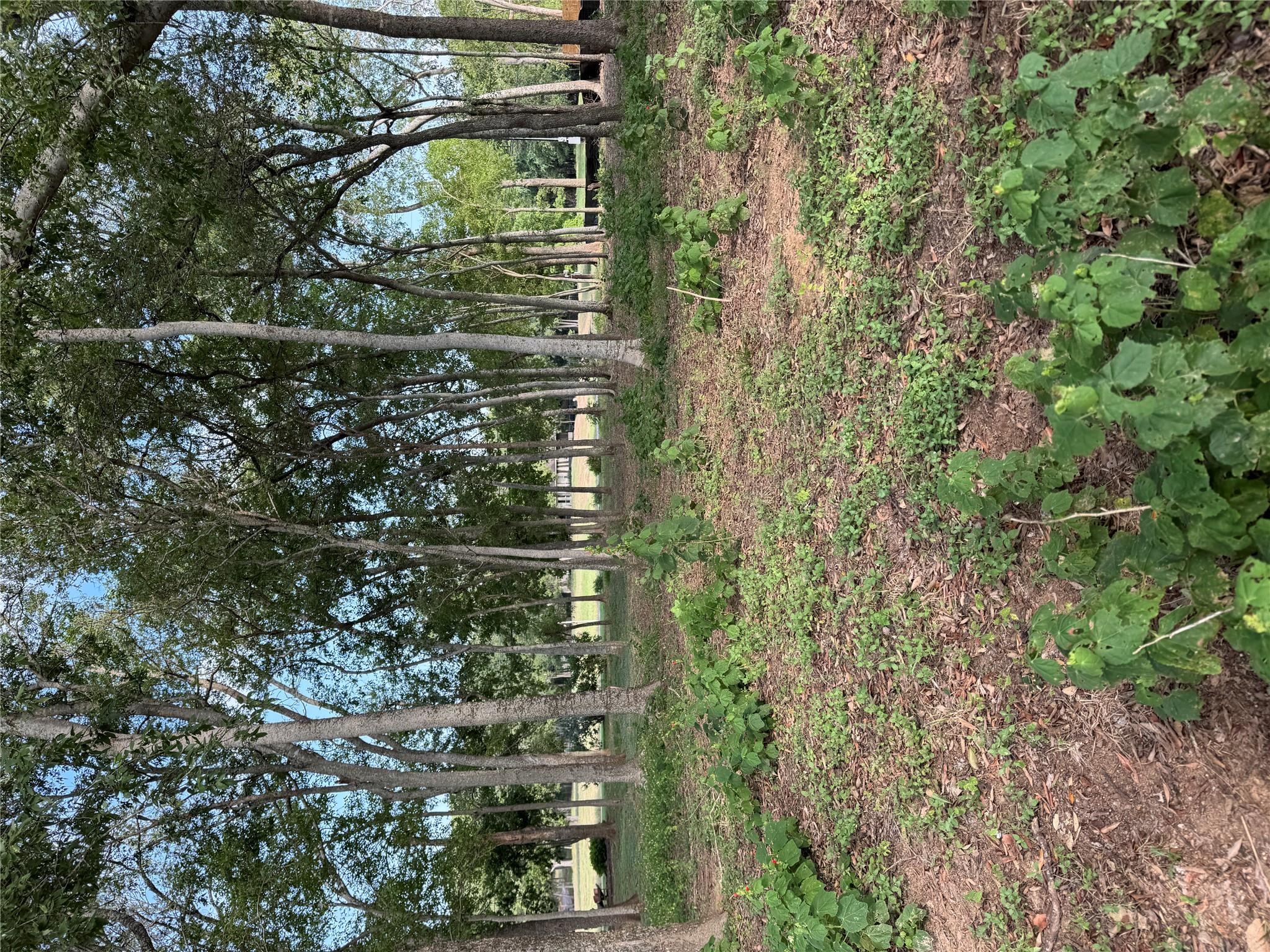 736 Riverside DR — photo 3