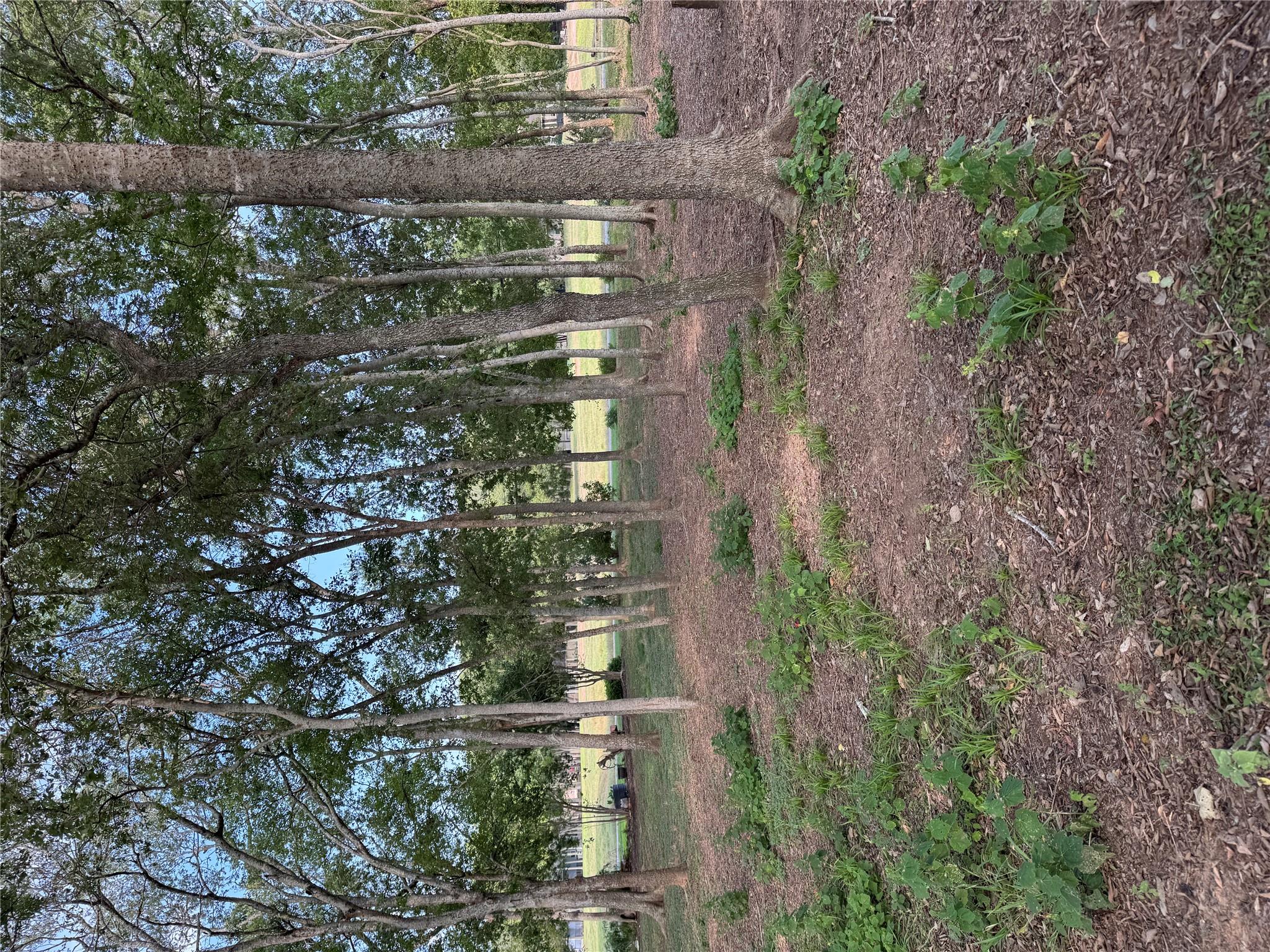 736 Riverside DR — photo 4
