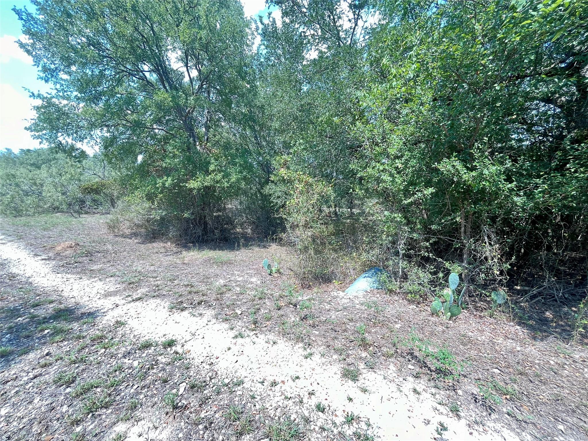 312 Blue Flame RD — photo 5