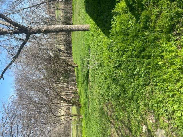 1008 Washburn ST — photo 3