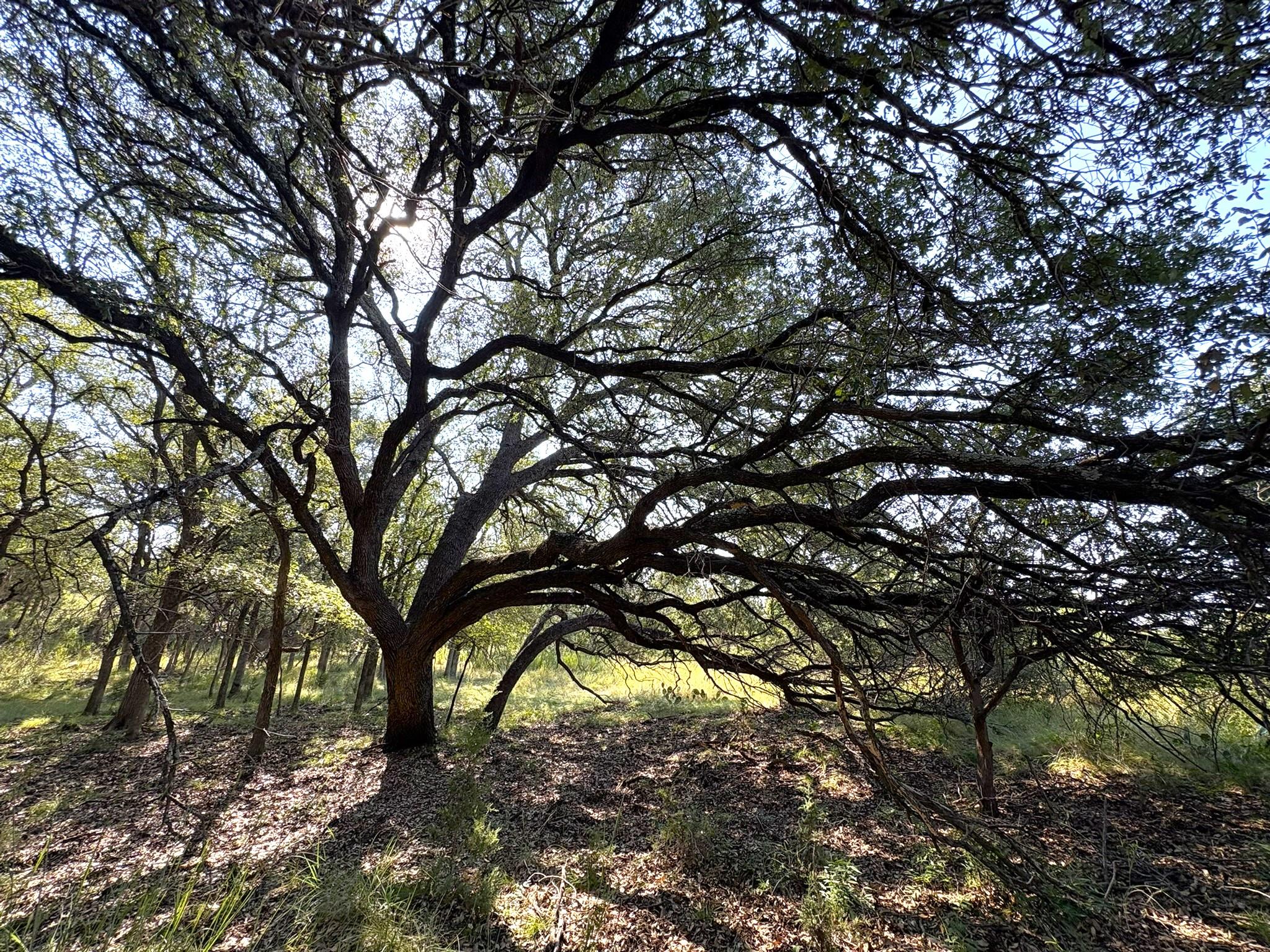 TBD Lot 3 Sandy Mountain — photo 3