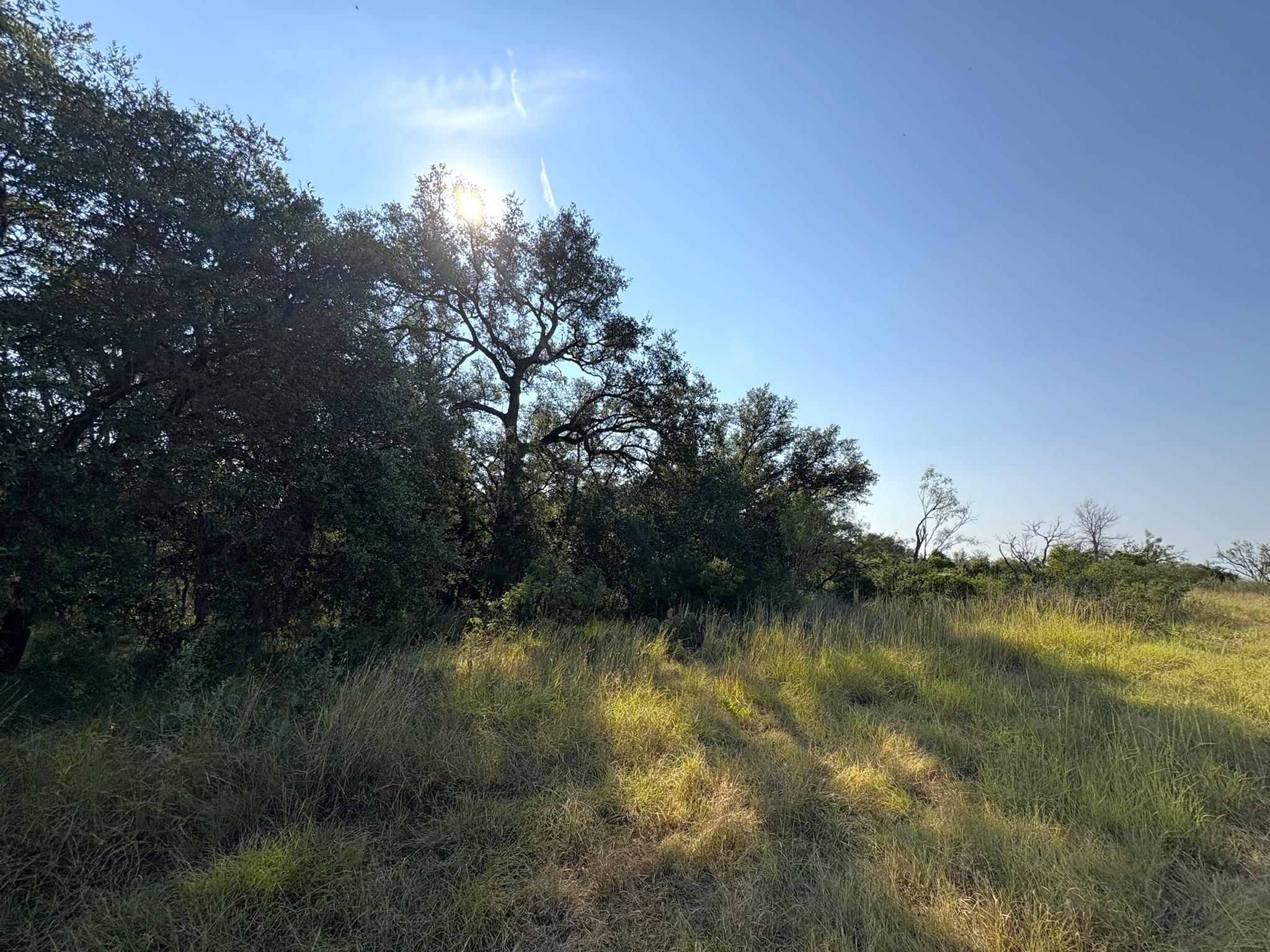 TBD Lot 3 Sandy Mountain — photo 5