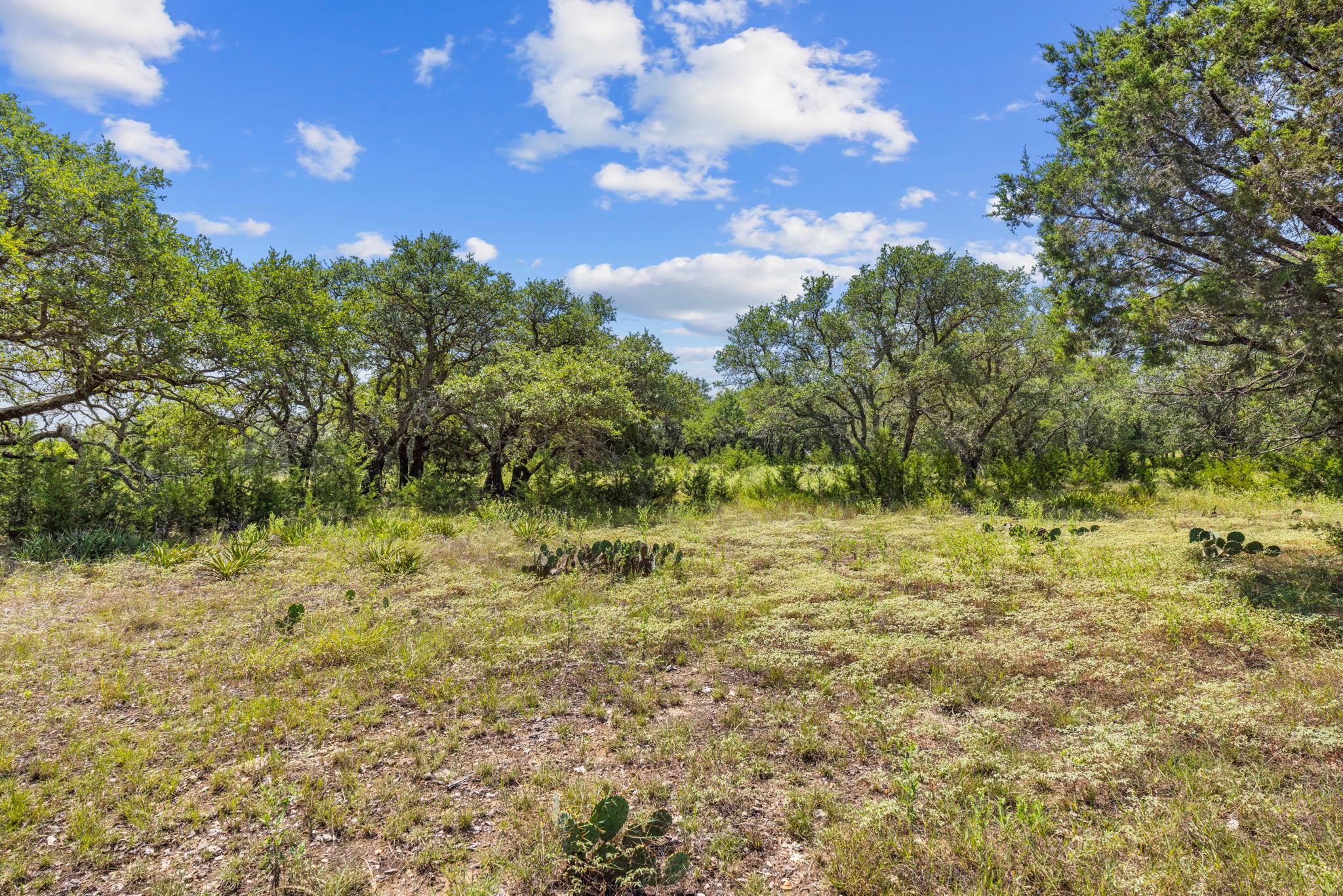 Lot 170 Heartleaf DR — photo 3
