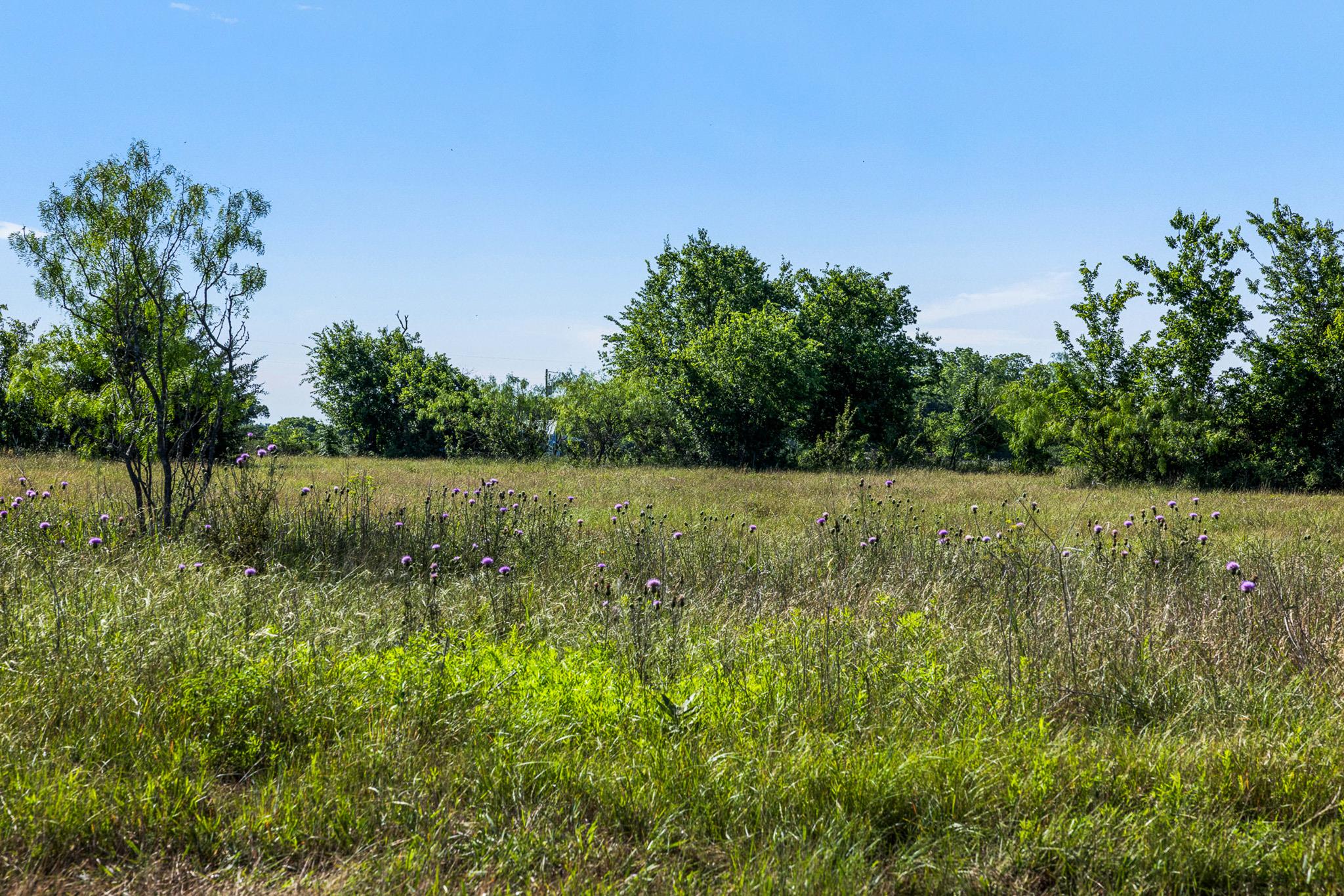 Tract 2 TBD LCR 392 — photo 3