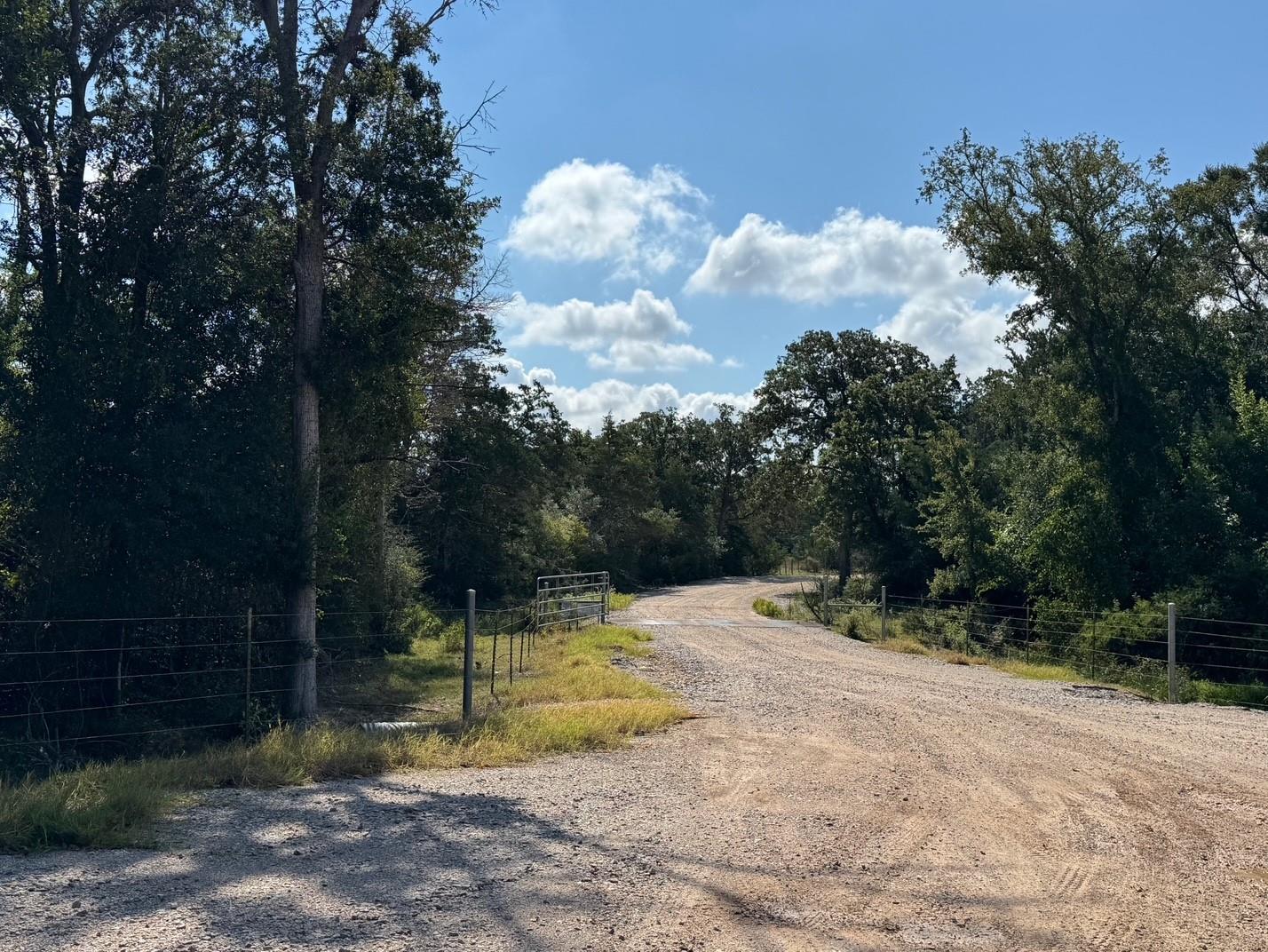 13115 Schoenemann RD — photo 3