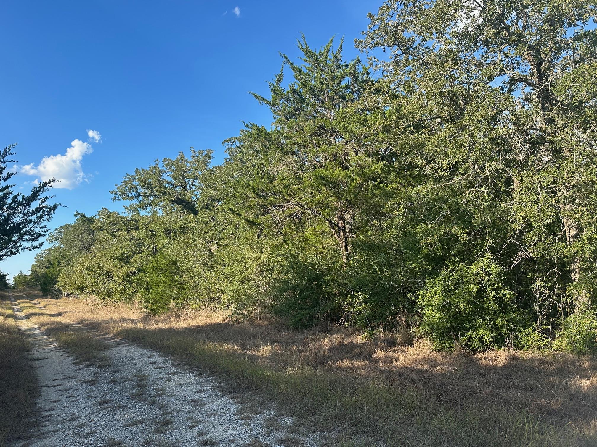 000 Rook RD — photo 3