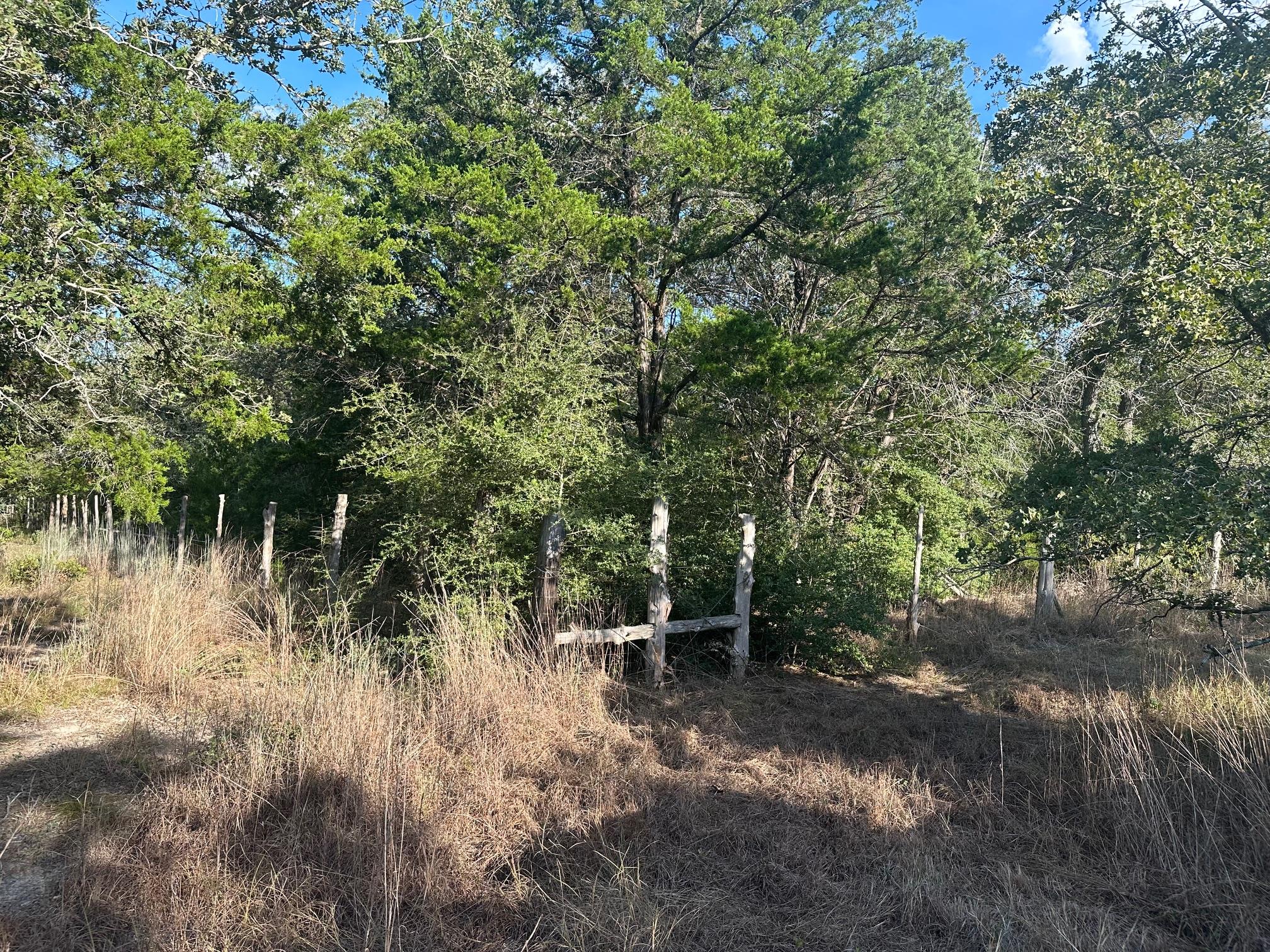 000 Rook RD — photo 4