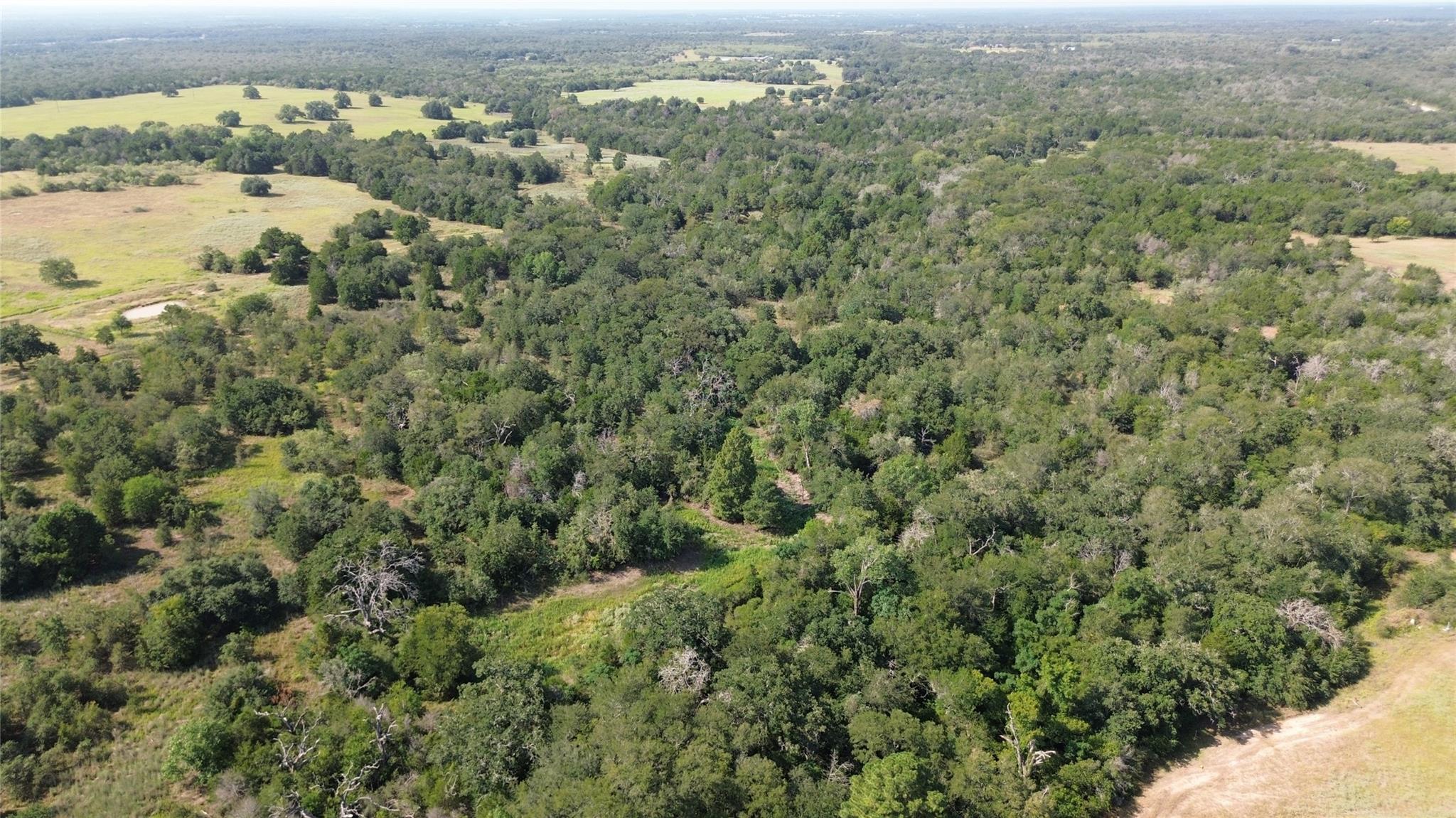 00 TBD Fm 535 — photo 3