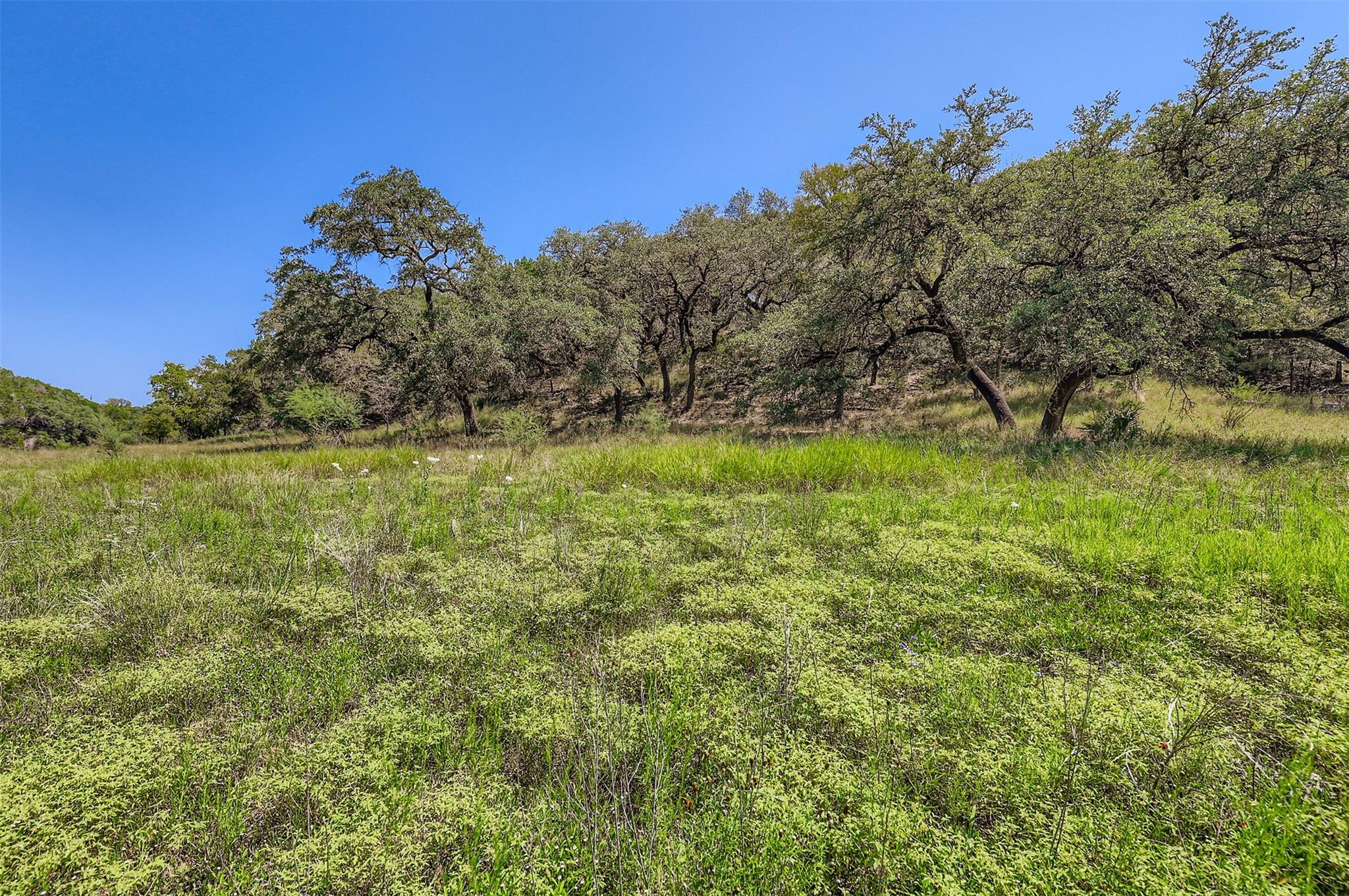 Lot 14-A CAROL CV — photo 5
