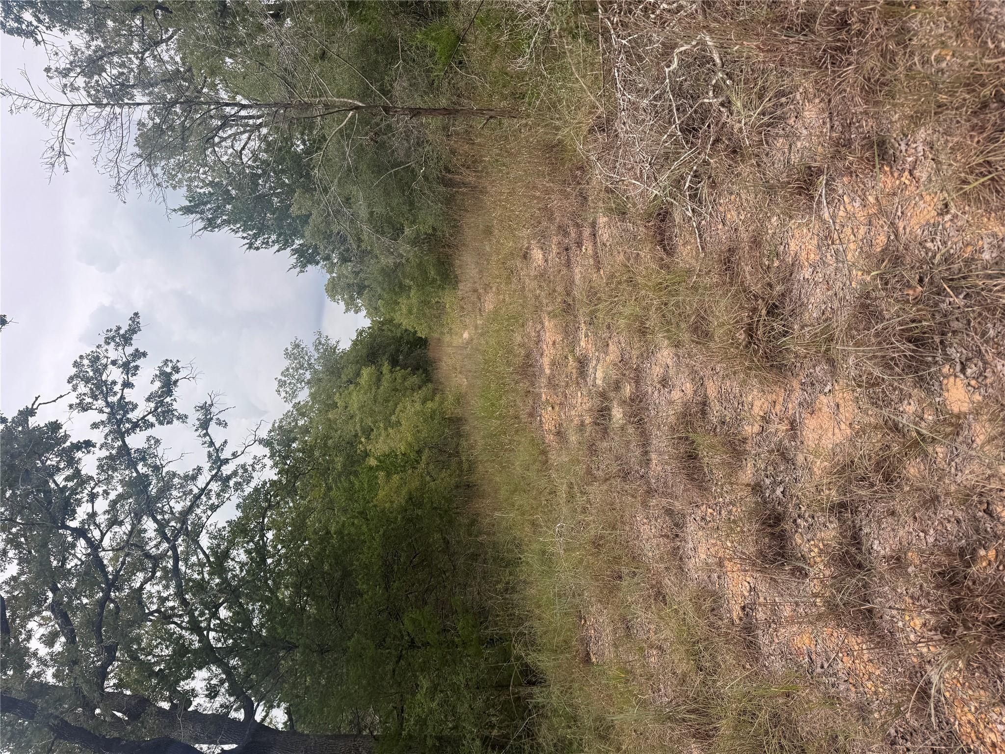 Lot 6 Spruce ST