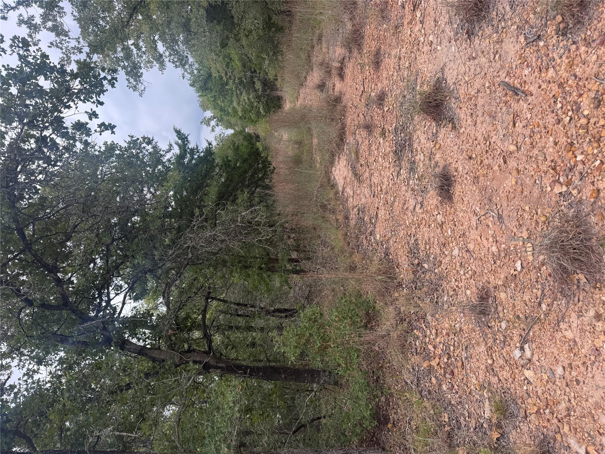 Lot 6 Spruce ST — photo 3