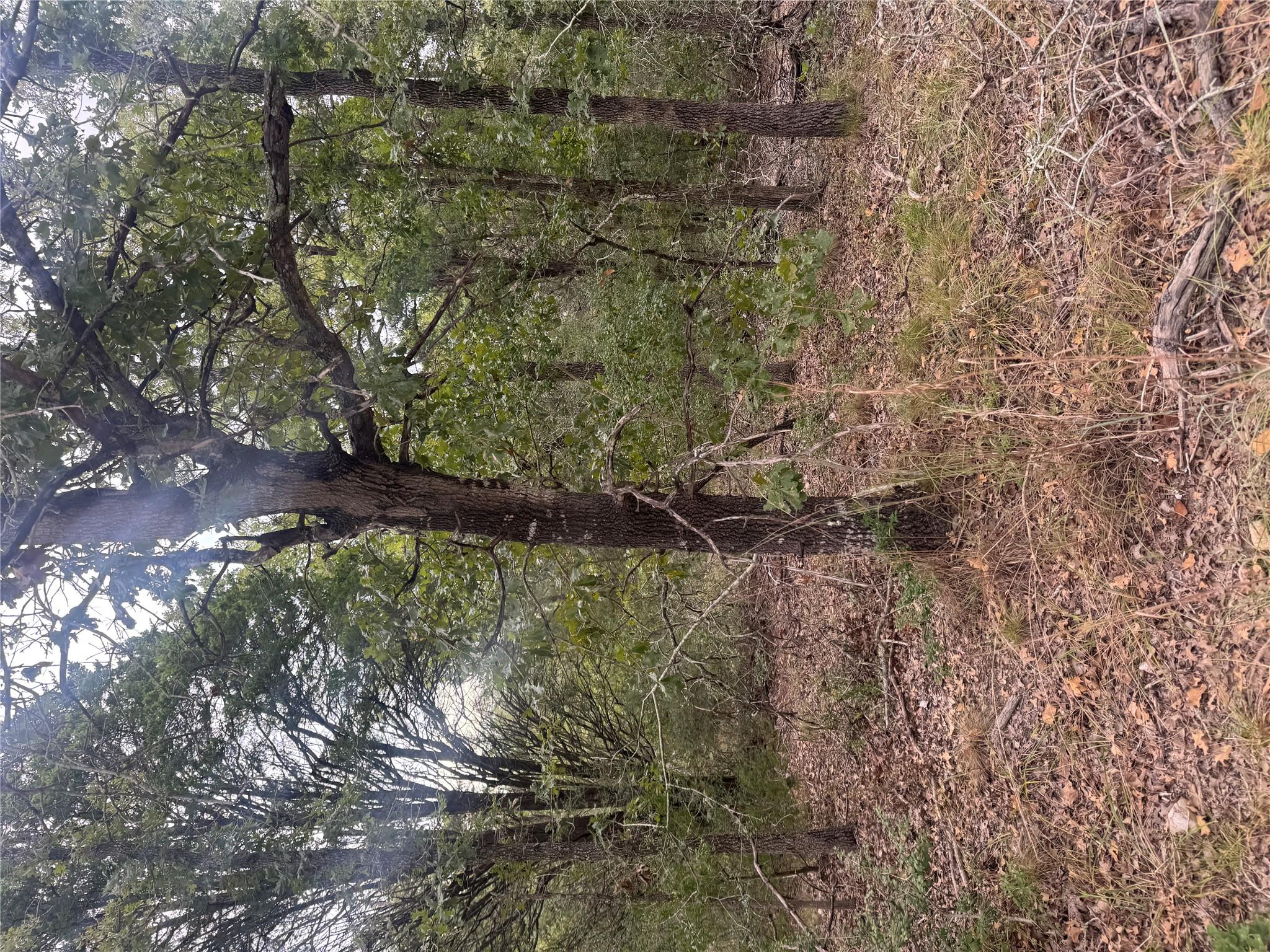 Lot 6 Spruce ST — photo 4