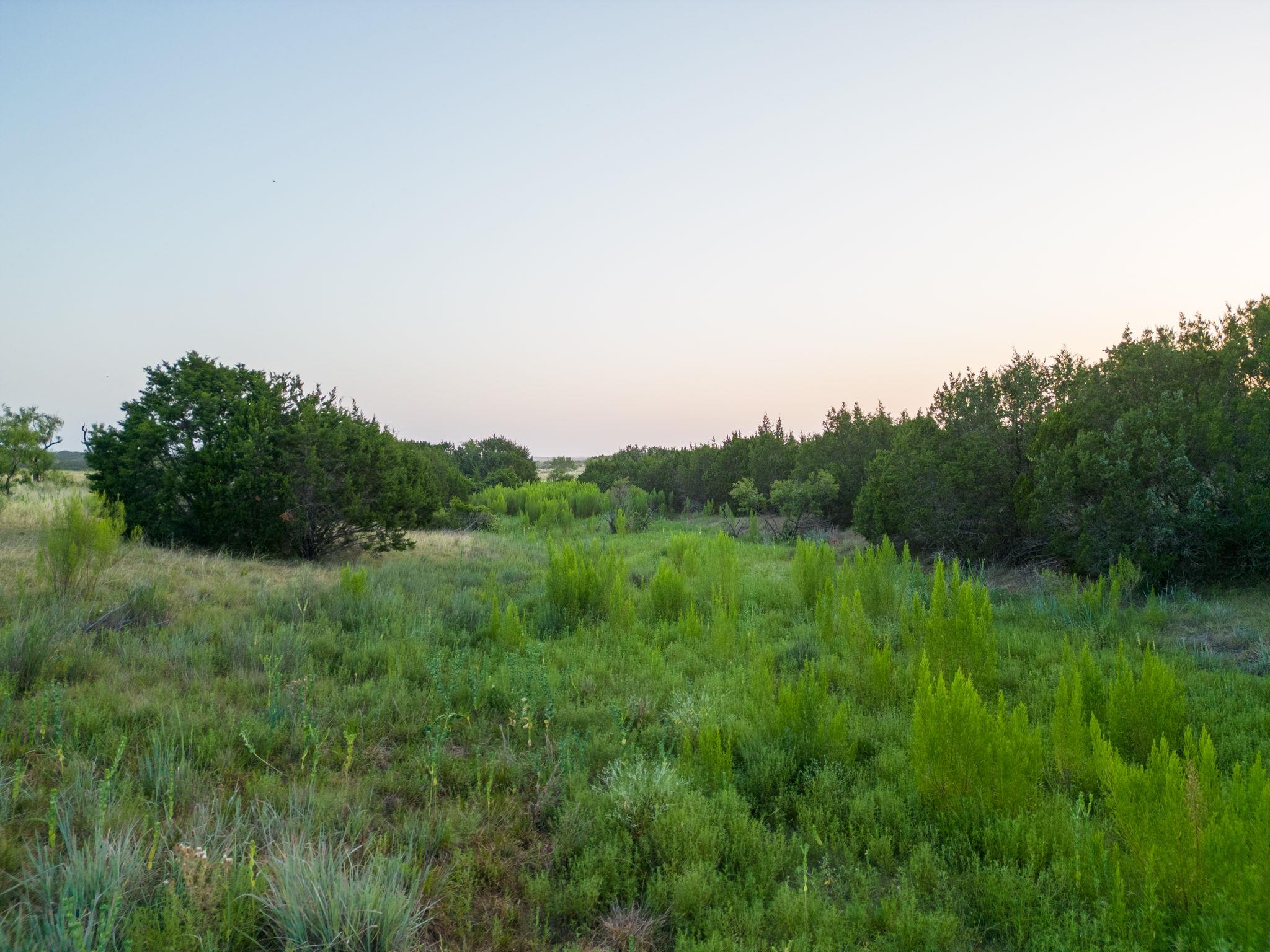 TBD Shin Oak DR — photo 3