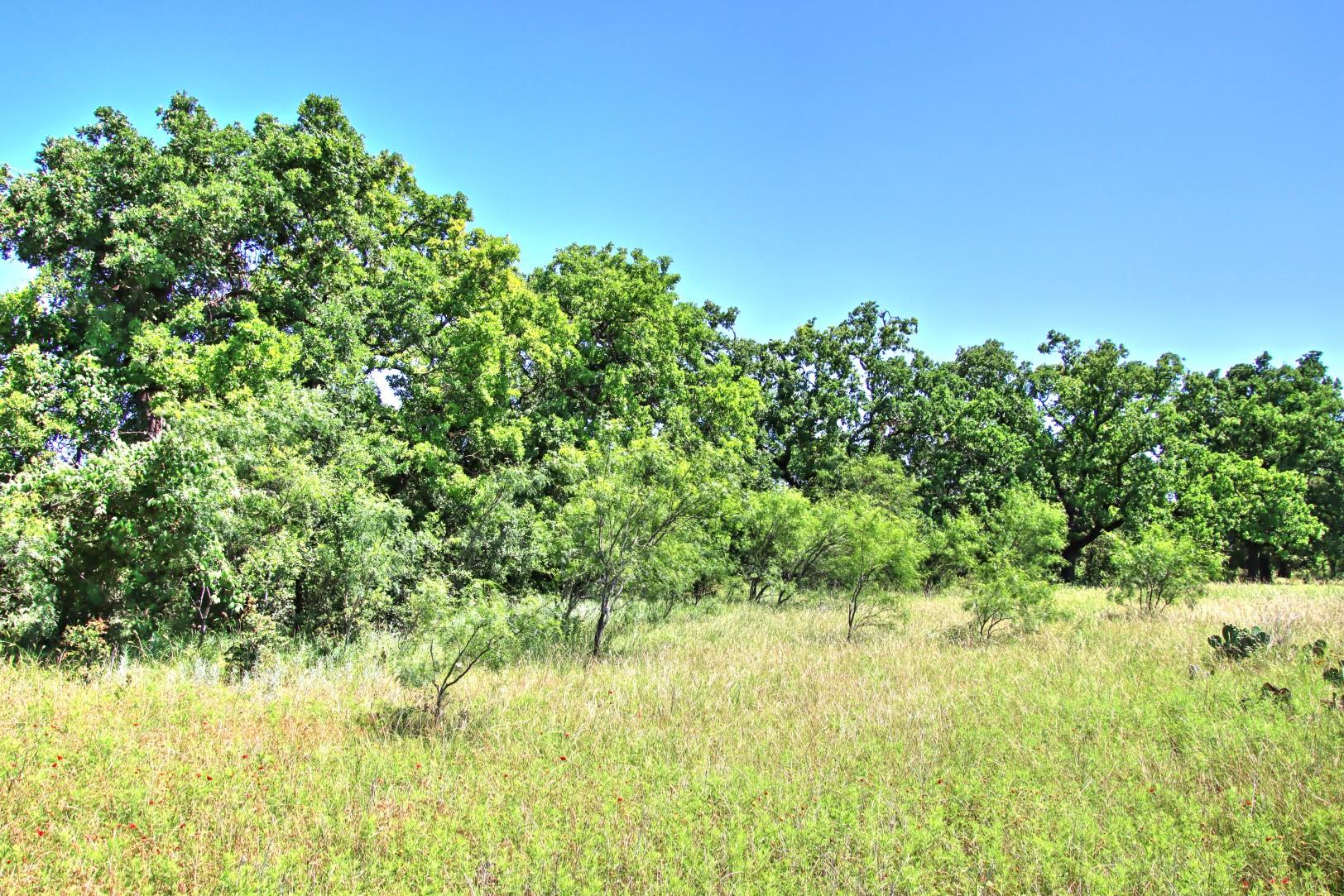 Lot 5 RM 1323 — photo 3