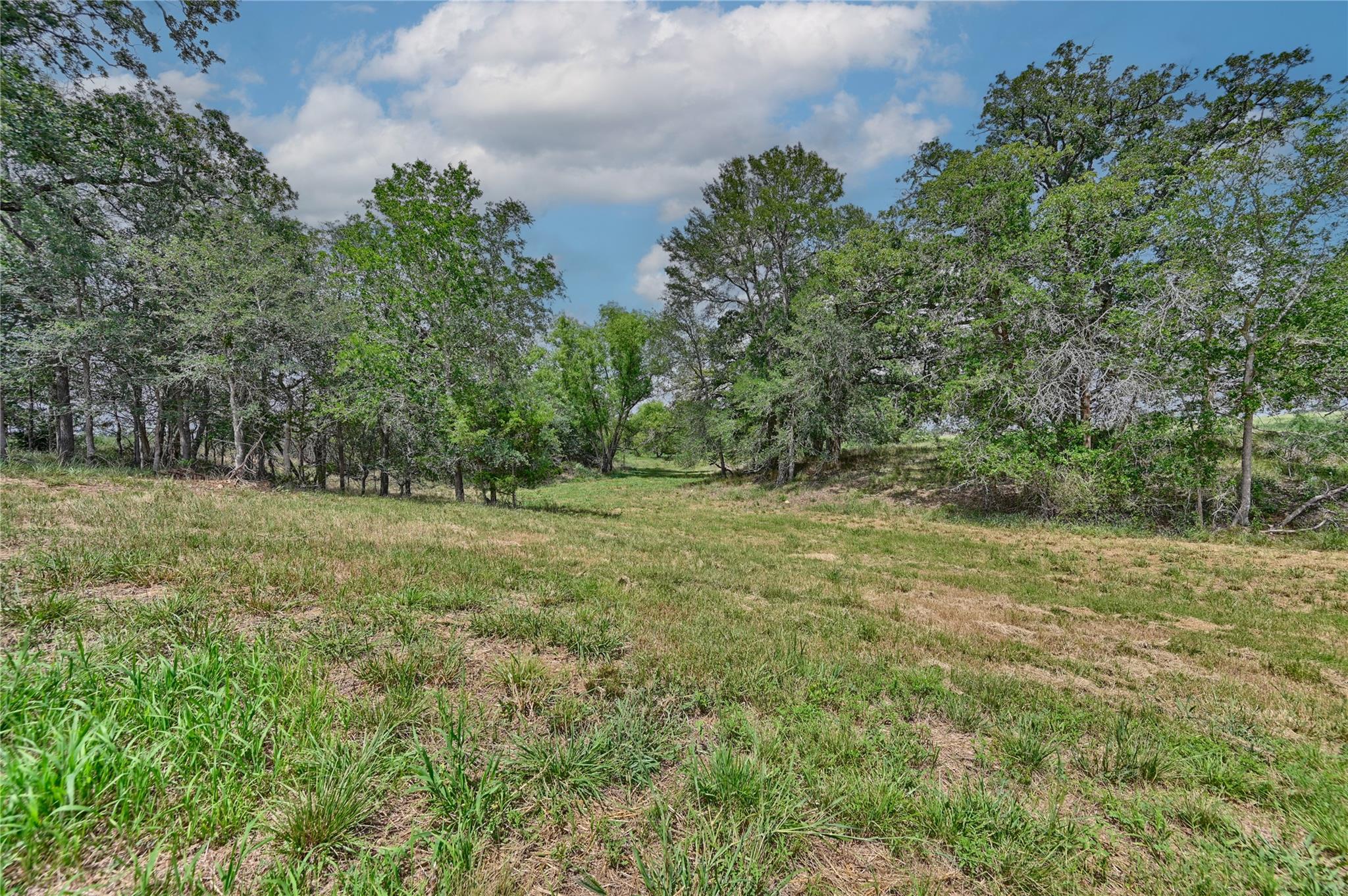 180 Sunny Day Dr — photo 4