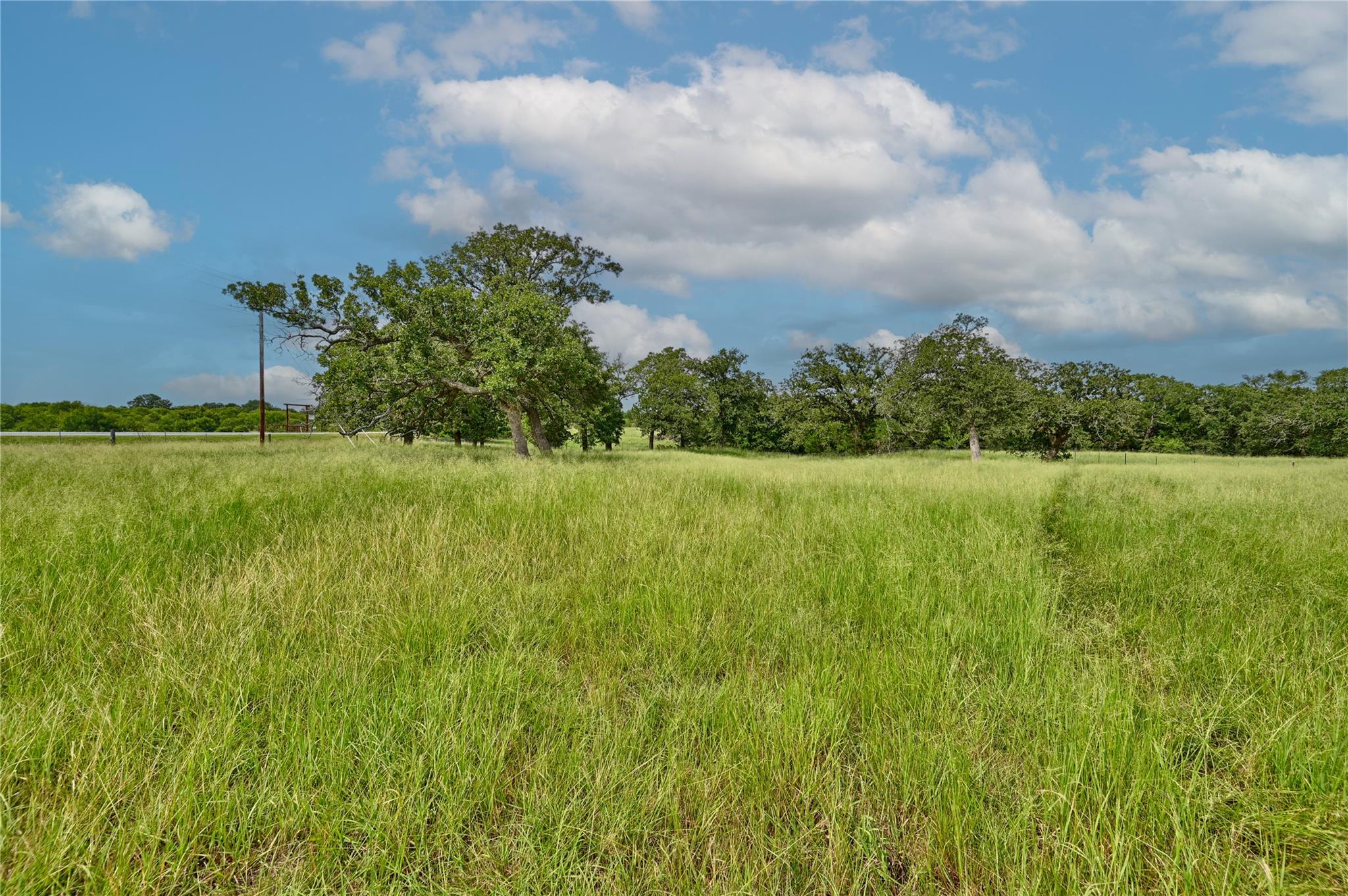 106 Sunny Day Dr — photo 5